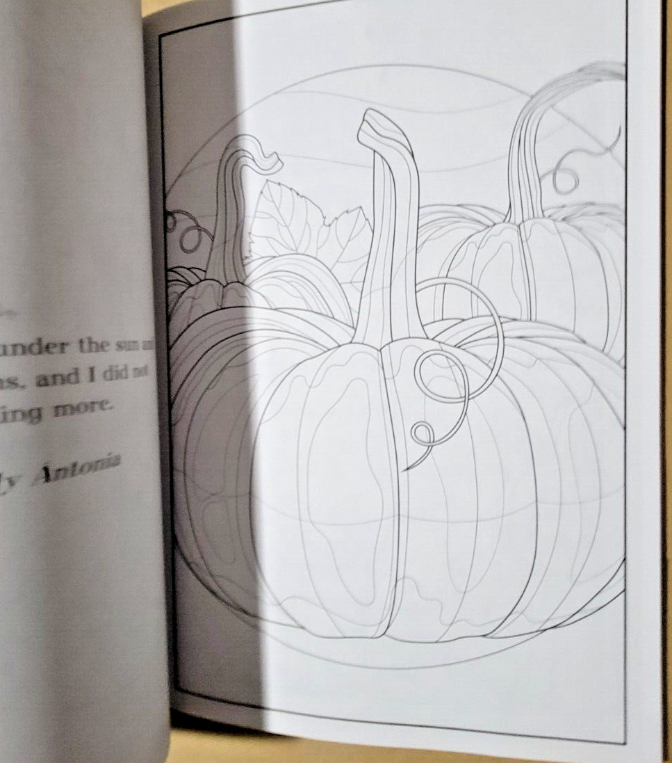 COLORFUL ESCAPES – A Bounty of Color! Vol. 22 – Adult Coloring Book – 47 Pages