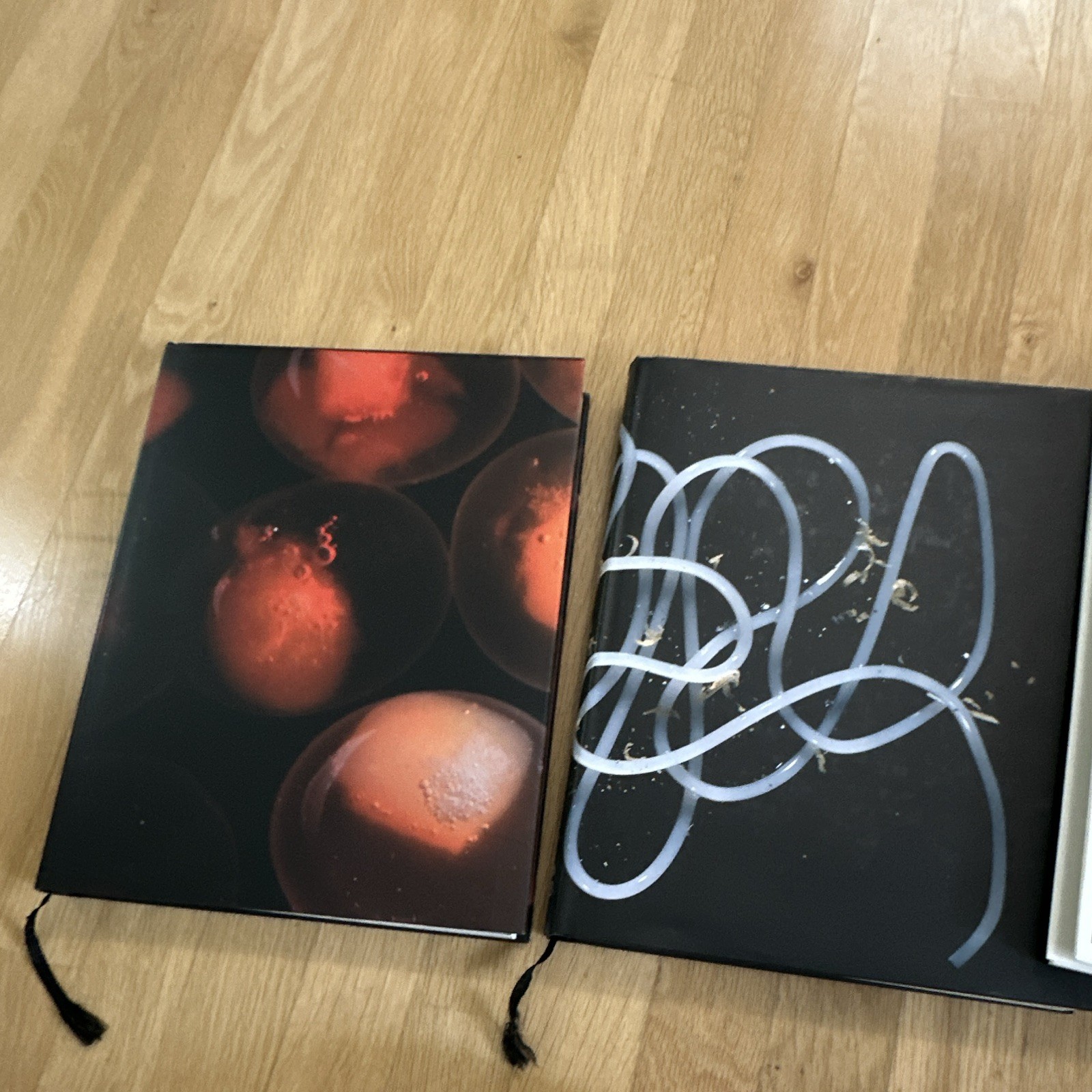 Ferran Adrià elBulli 2003-2004 Updating Evolutionary Analysis HC + CD-ROM
