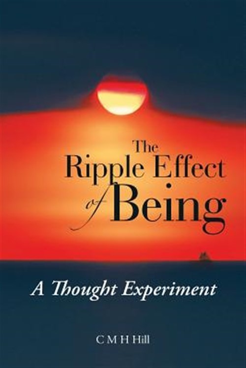 Ripple Effect of Being : A Thought Experiment, Paperback by Hill, C. M. H., B…