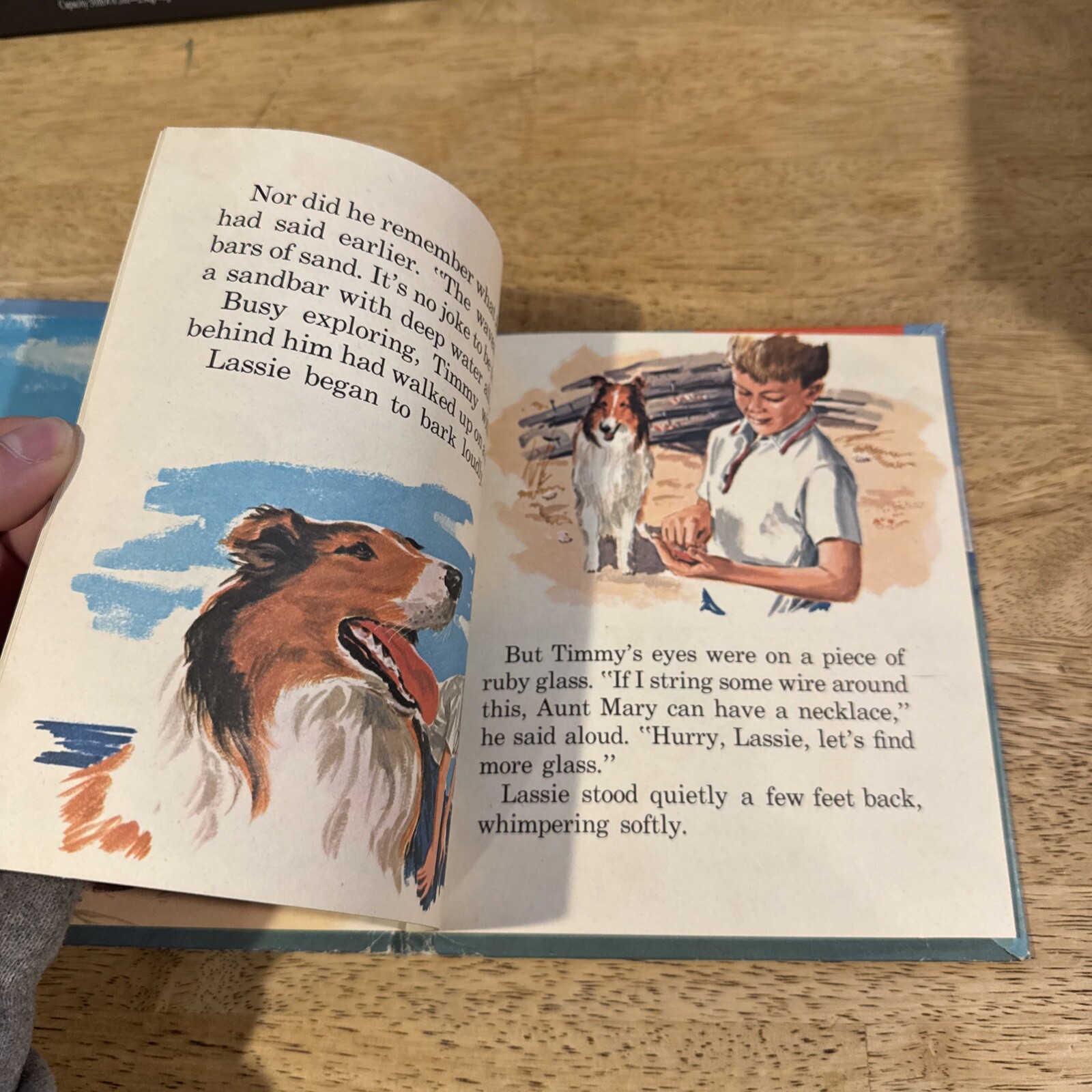 Lassie The Sandbar Rescue, 1964, Whitman Publishing by Jean Fiedler