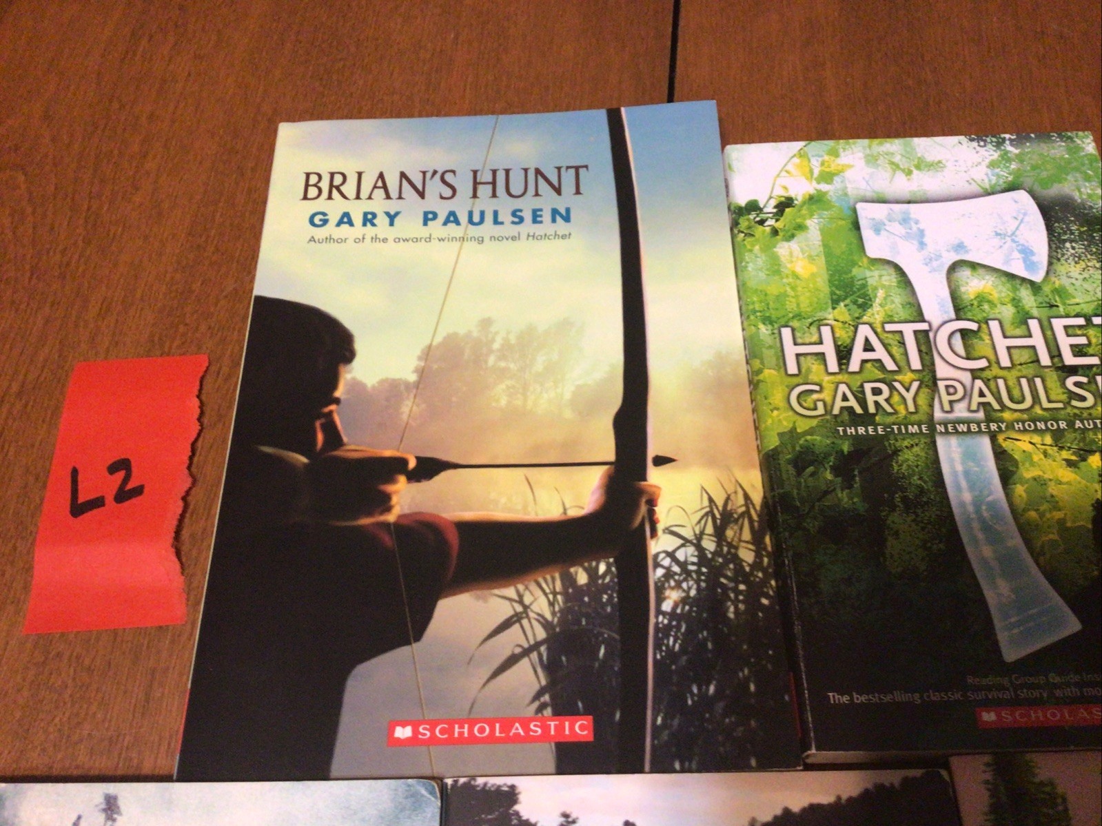 Complete Set Lot Of 5 BRIAN Books Paulsen HATCHET River HUNT Return WINTER (L2)
