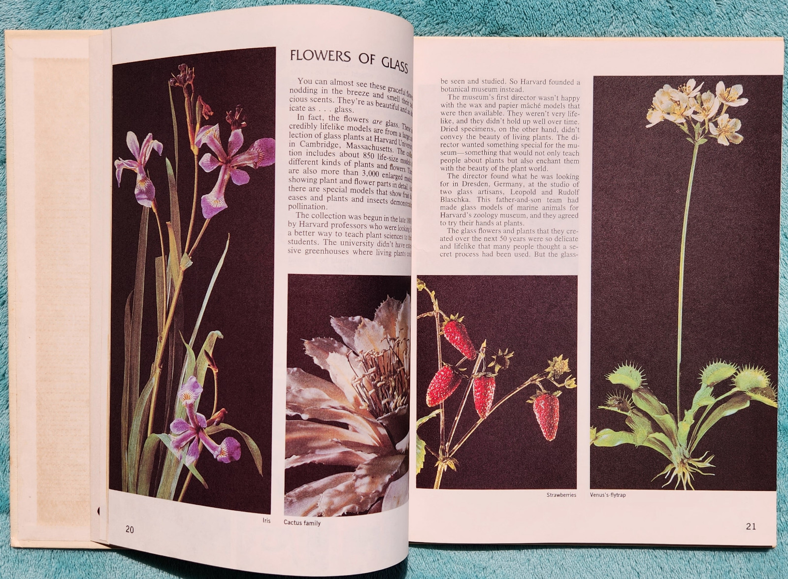 Disney’s Wonderful World Of Knowledge 1984 Yearbook Hardcover 124 Pages