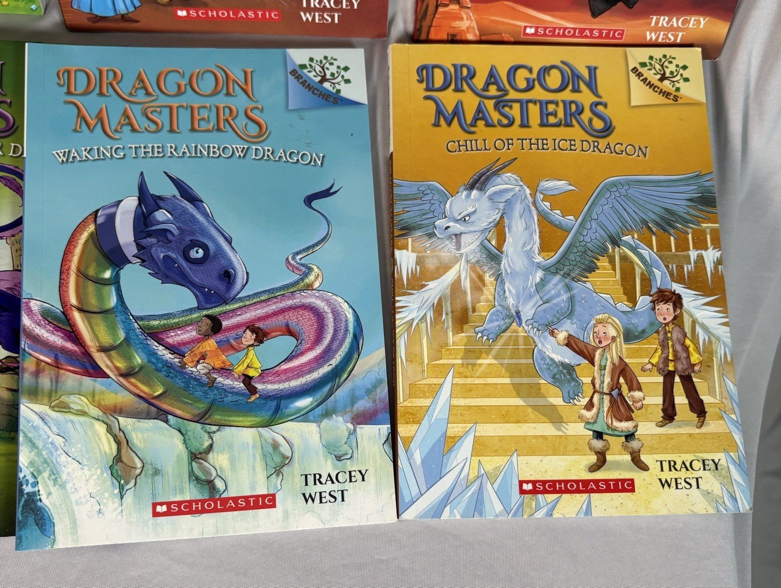 Dragon Masters Book Lot of 9 By Tracey West for Ages 6-8 – Different Adventures