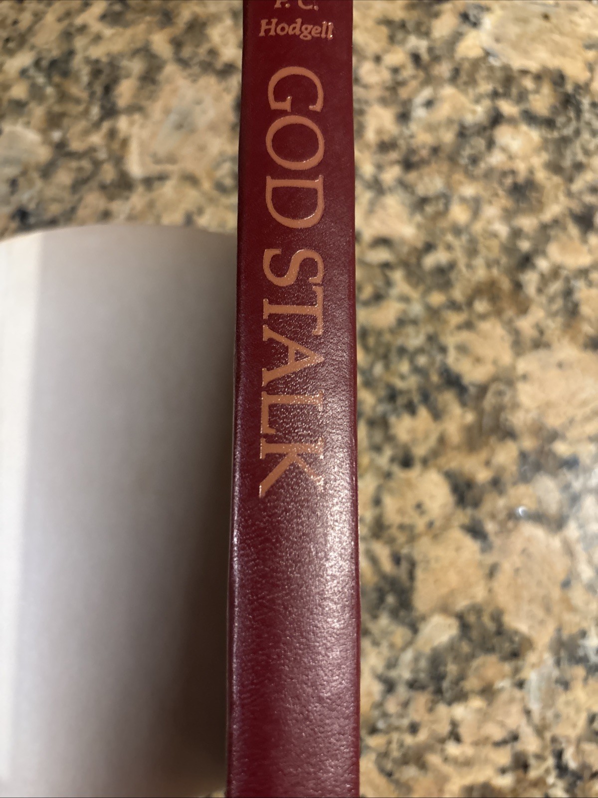 God Stalk – P.C. Hodgell Hardcover Dust Jacket – 1982 -VG Book Club Ed