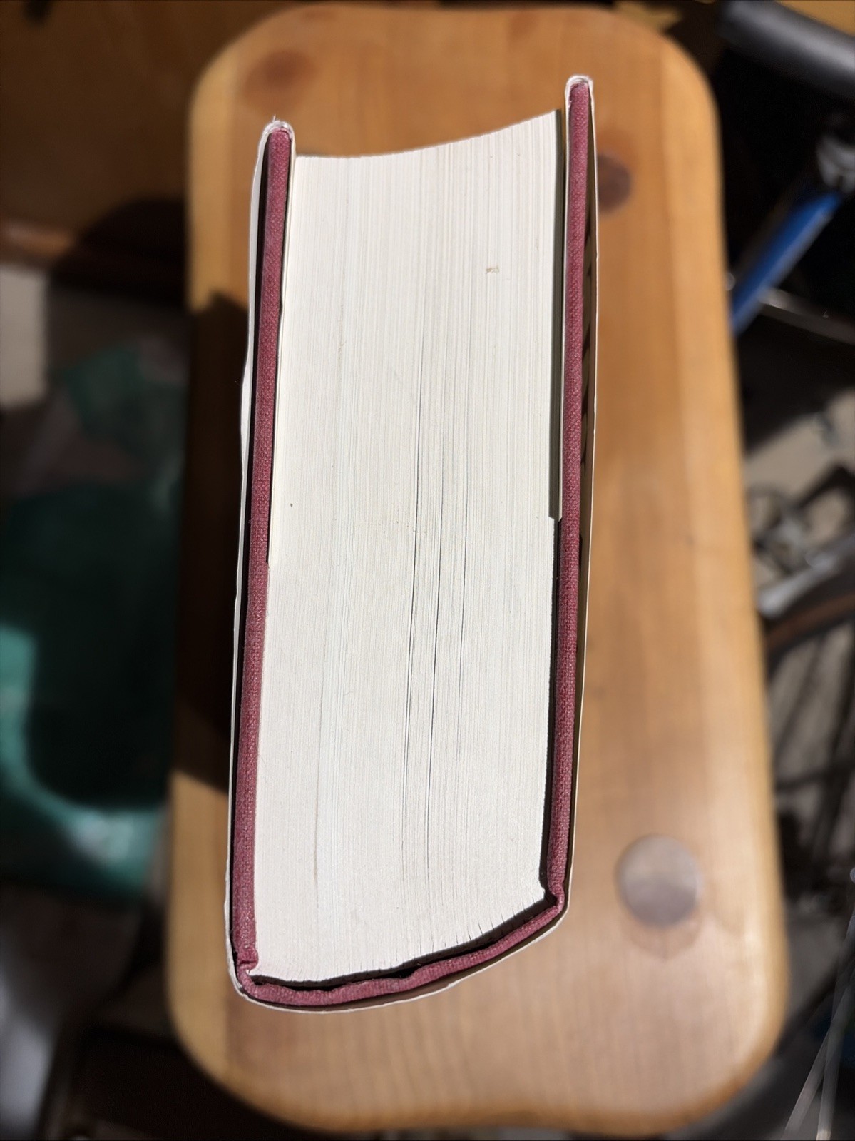Daniel by John Calvin 2 Vols. In 1-BANNER OF TRUTH Geneva series 800 Pages