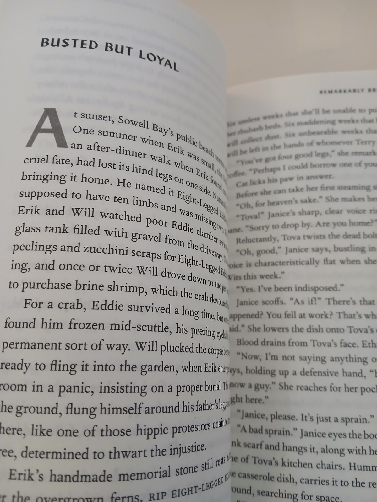 Remarkably Bright Creatures : A Novel by Shelby Van Pelt (2025, Trade Paperback)