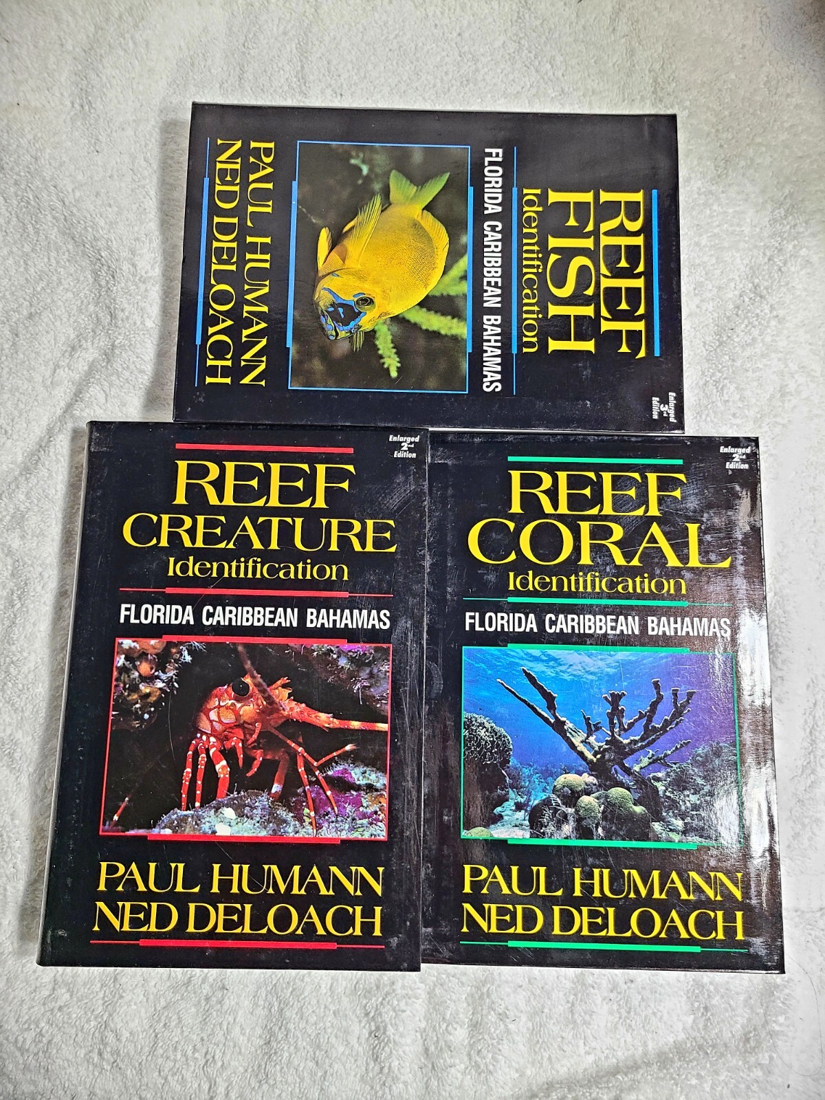 The Reef Set Ser.: Florida, Caribbean and Bahamas: The Reef Set Florida…