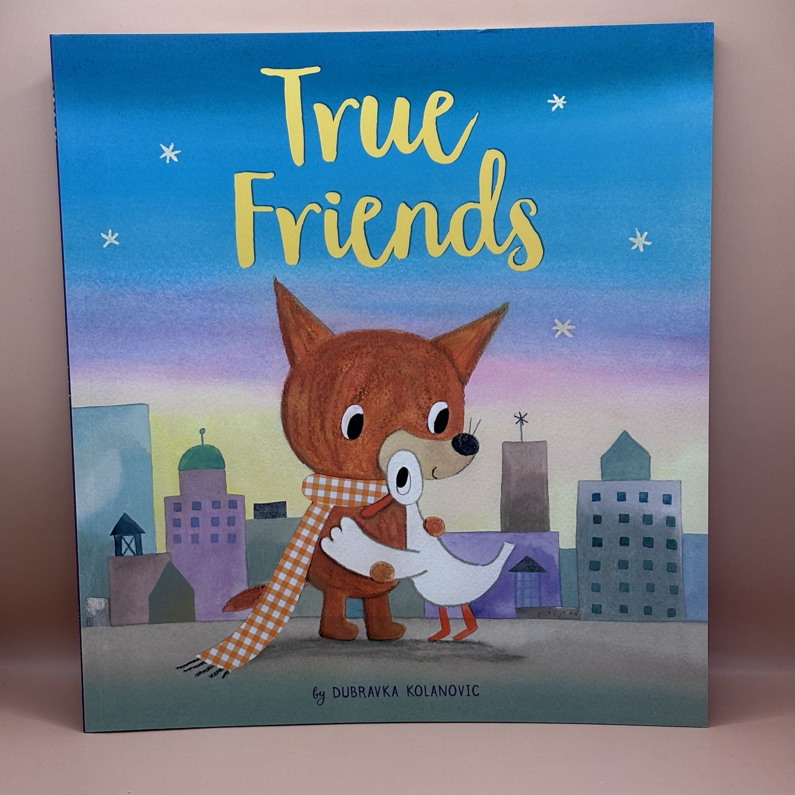 Storytime Picture Books Collection 7 Books Set True Friend, Big Day, Others