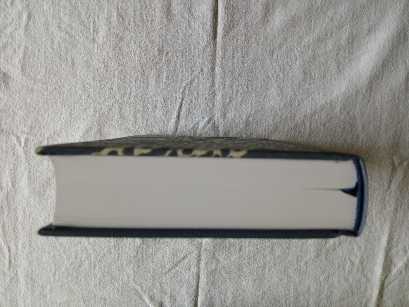 ESV Personal Reference Bible (Cloth over Board, Blue Flora) by Not Available…