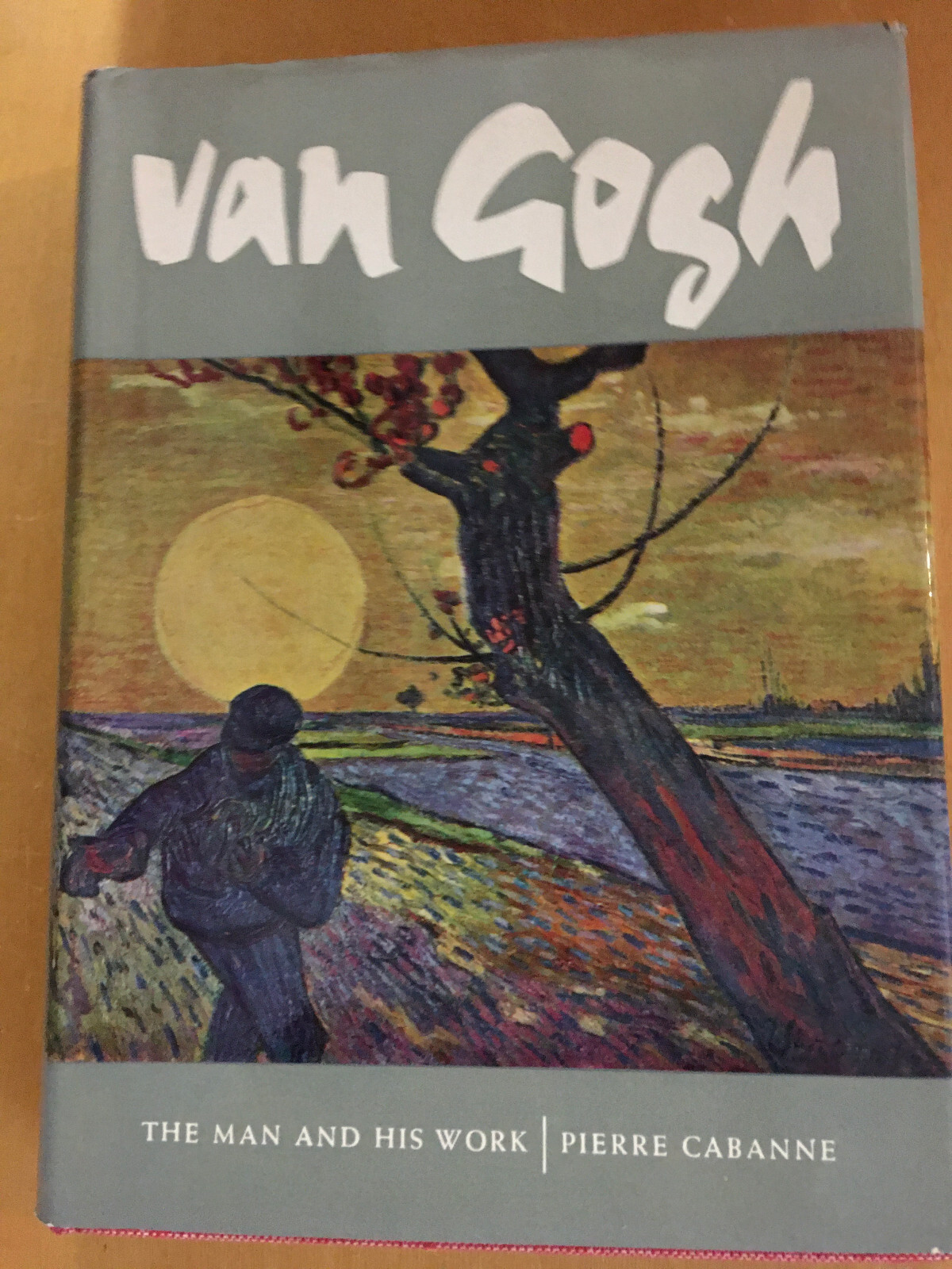 Van Gogh The Man and His Work HC Pierre Cabanne 1st American Edition