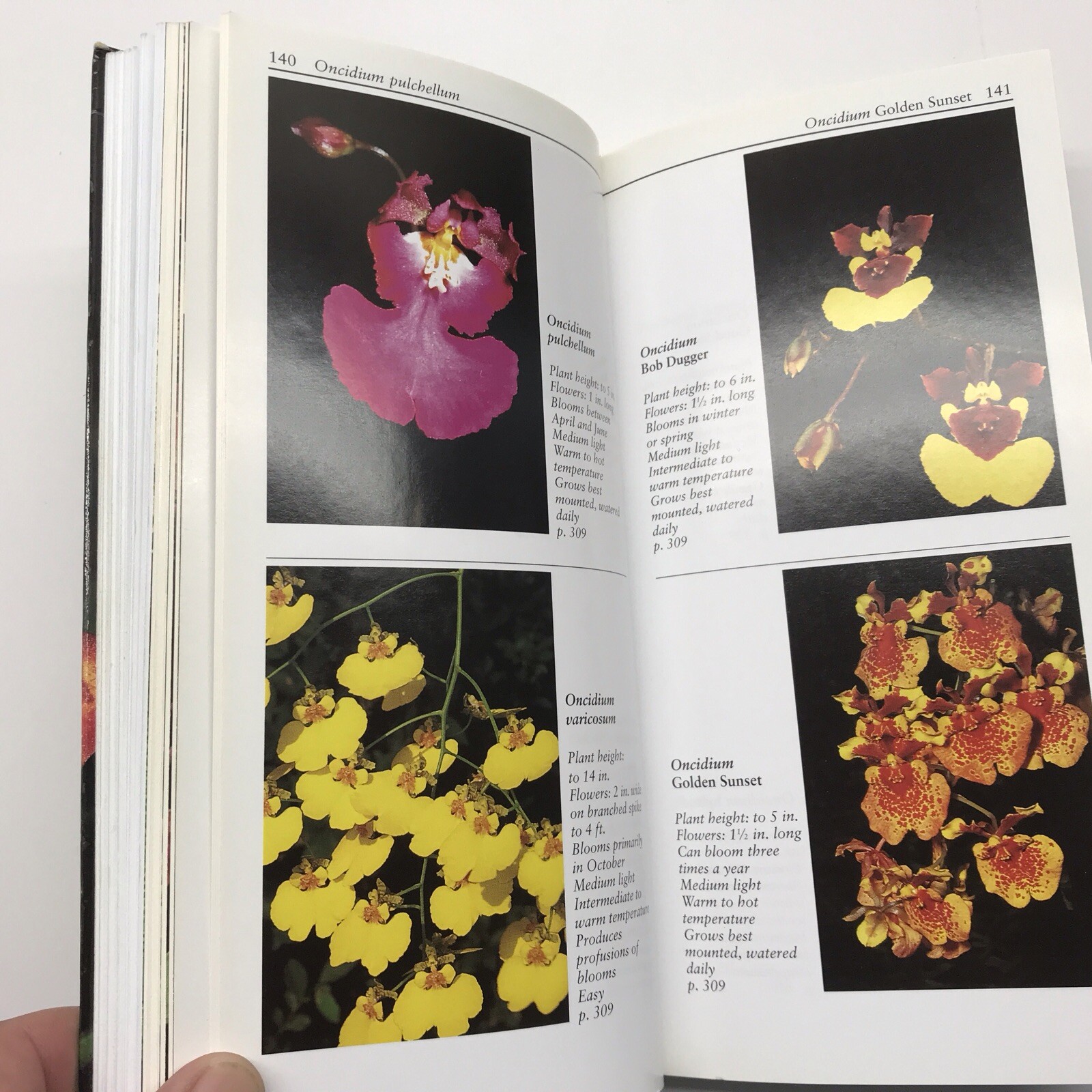 Taylor’s Guide to Orchids~1996~Judy White~Ex Library