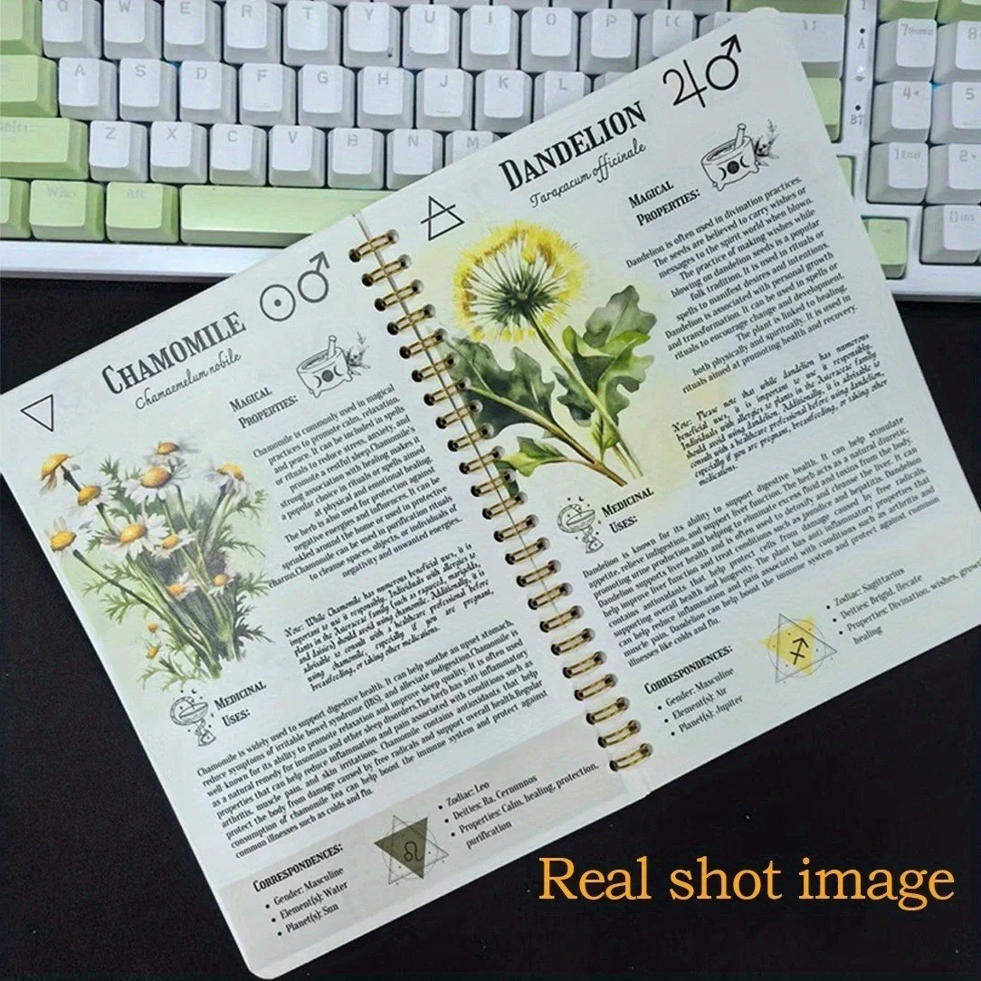 The Natural Healing Handbook, Spiral-Bound Guide For Herbal Remedies And Natural
