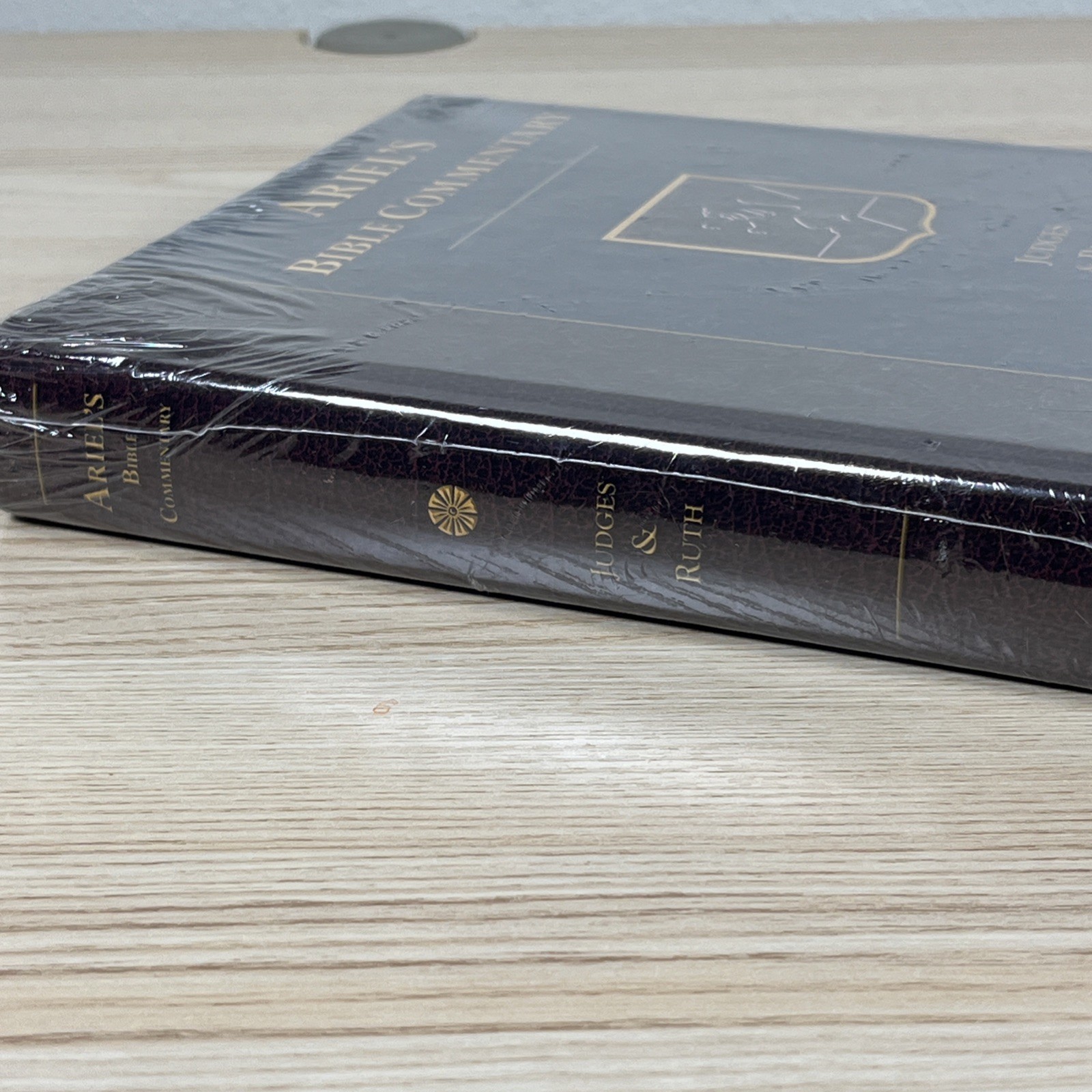 Ariel’s Bible Commentary Judges & Ruth Hardcover – NEW Sealed