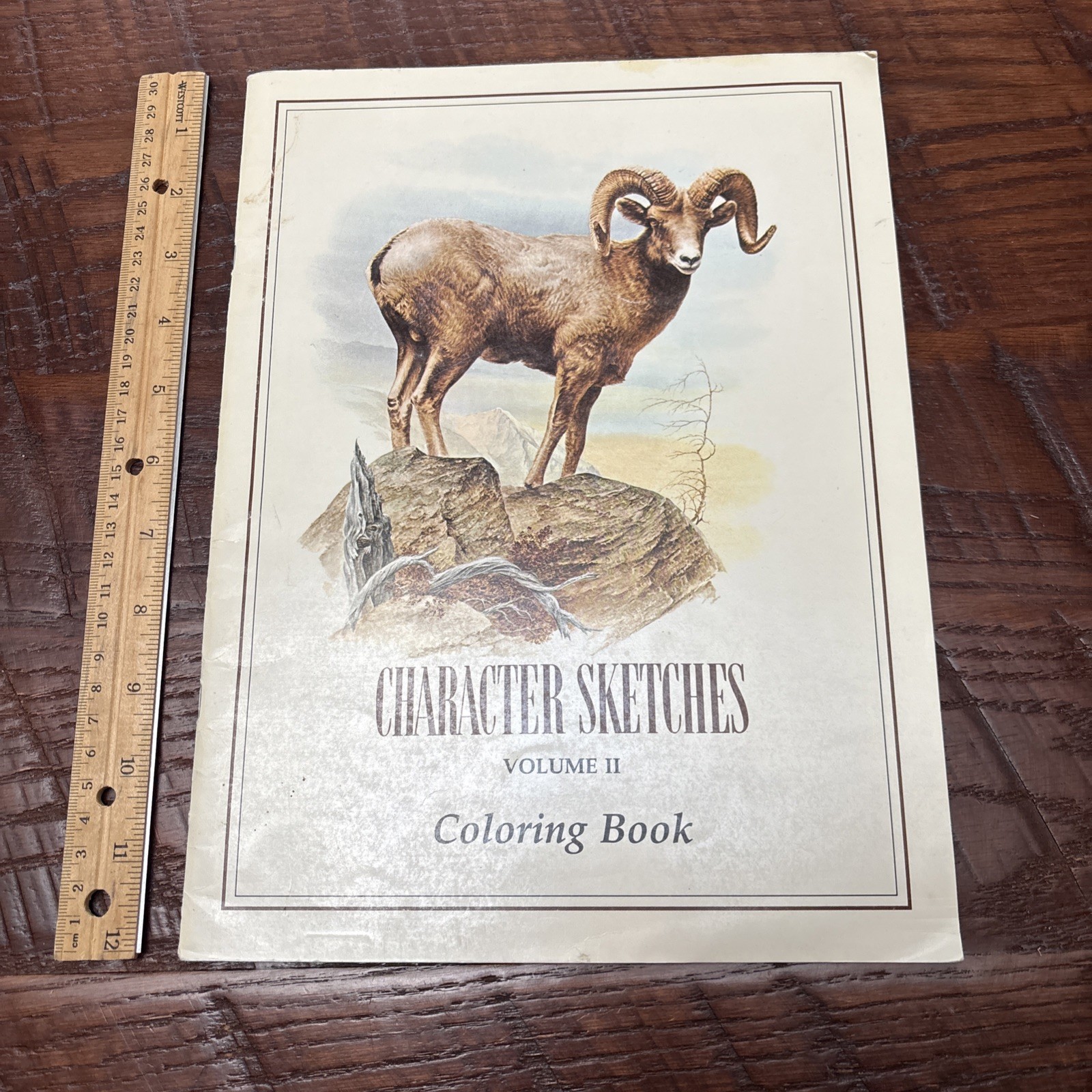 Character Sketches Coloring Book From the Pages of Scripture, Volume II unused