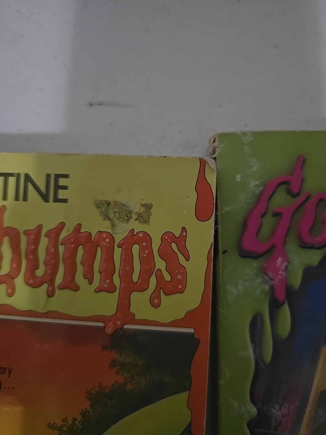 R.L. Stine Book Lot Of 24- Fear Street, Twisted, Rotten School, Goosebumps,