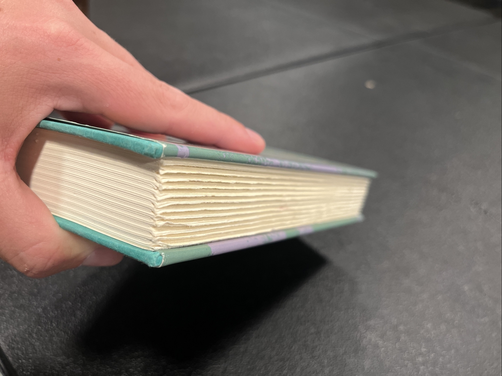 Chesapeake Song By Brenda Richardson FIRST EDITION