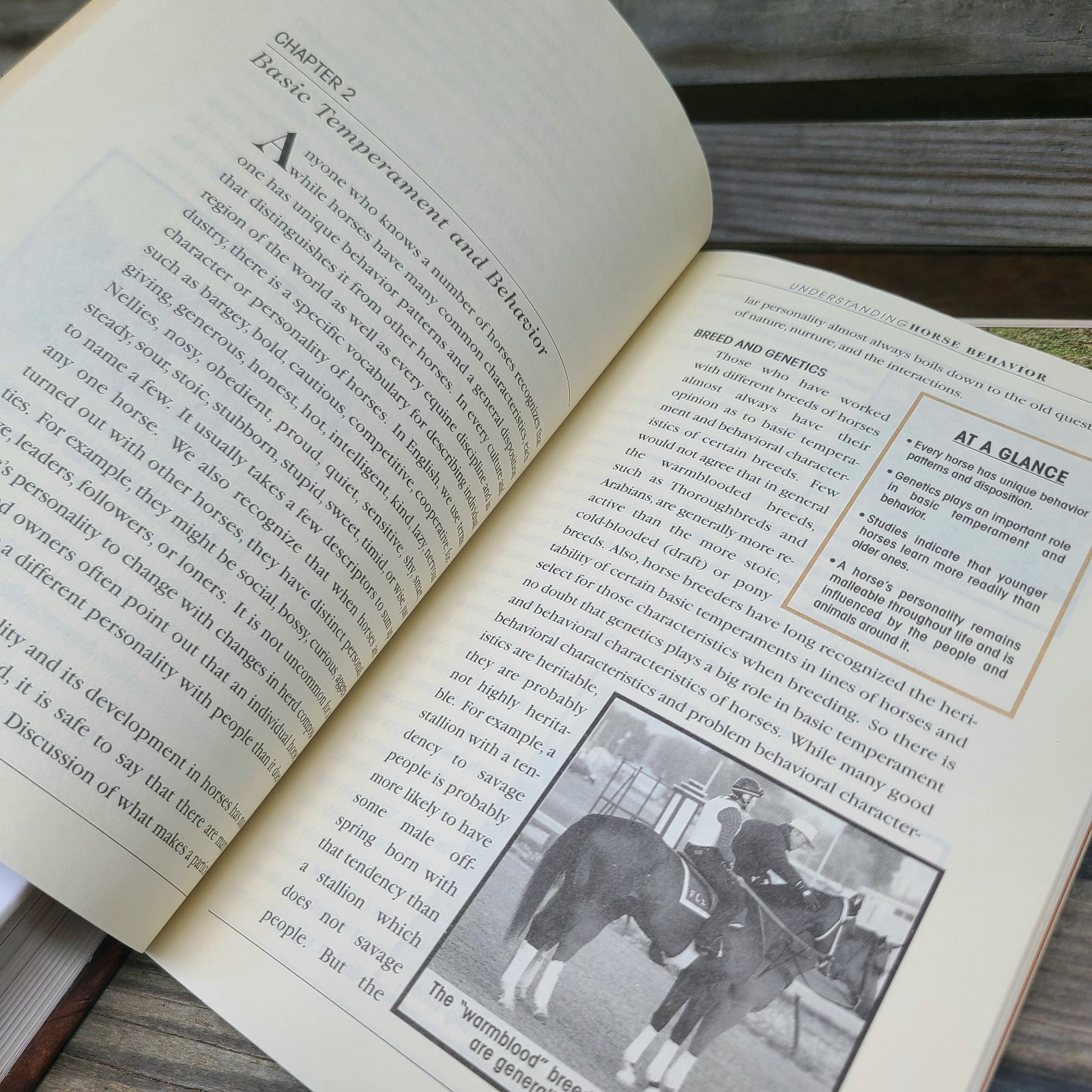 Vintage Books about Horses- Riding/Equestrian/Pony/Horse/Care/Health/Behavior