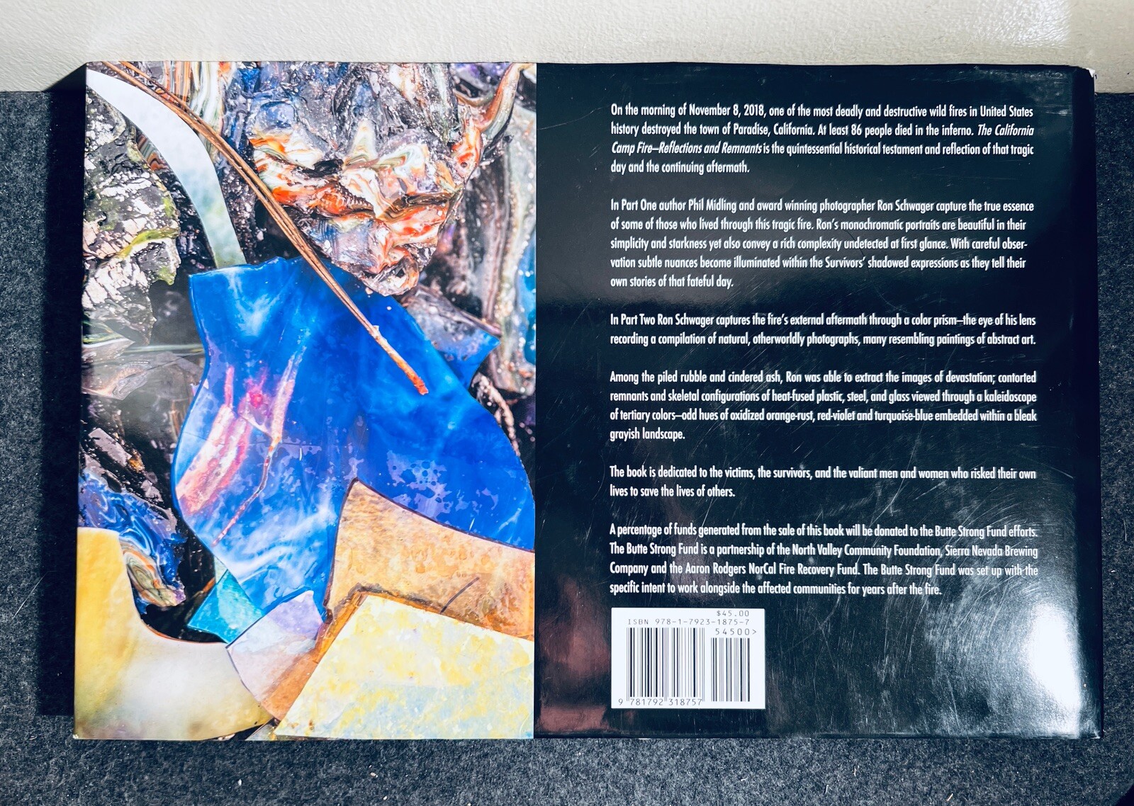The California Camp Fire: Reflections and Remnants SIGNED by Author HC/DJ