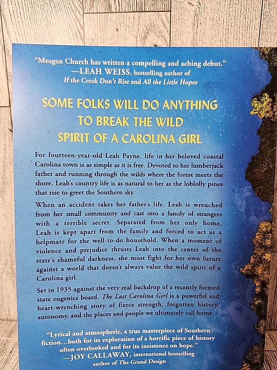 Last Carolina Girl : A Novel by Meagan Church (2023, Trade Paperback) New