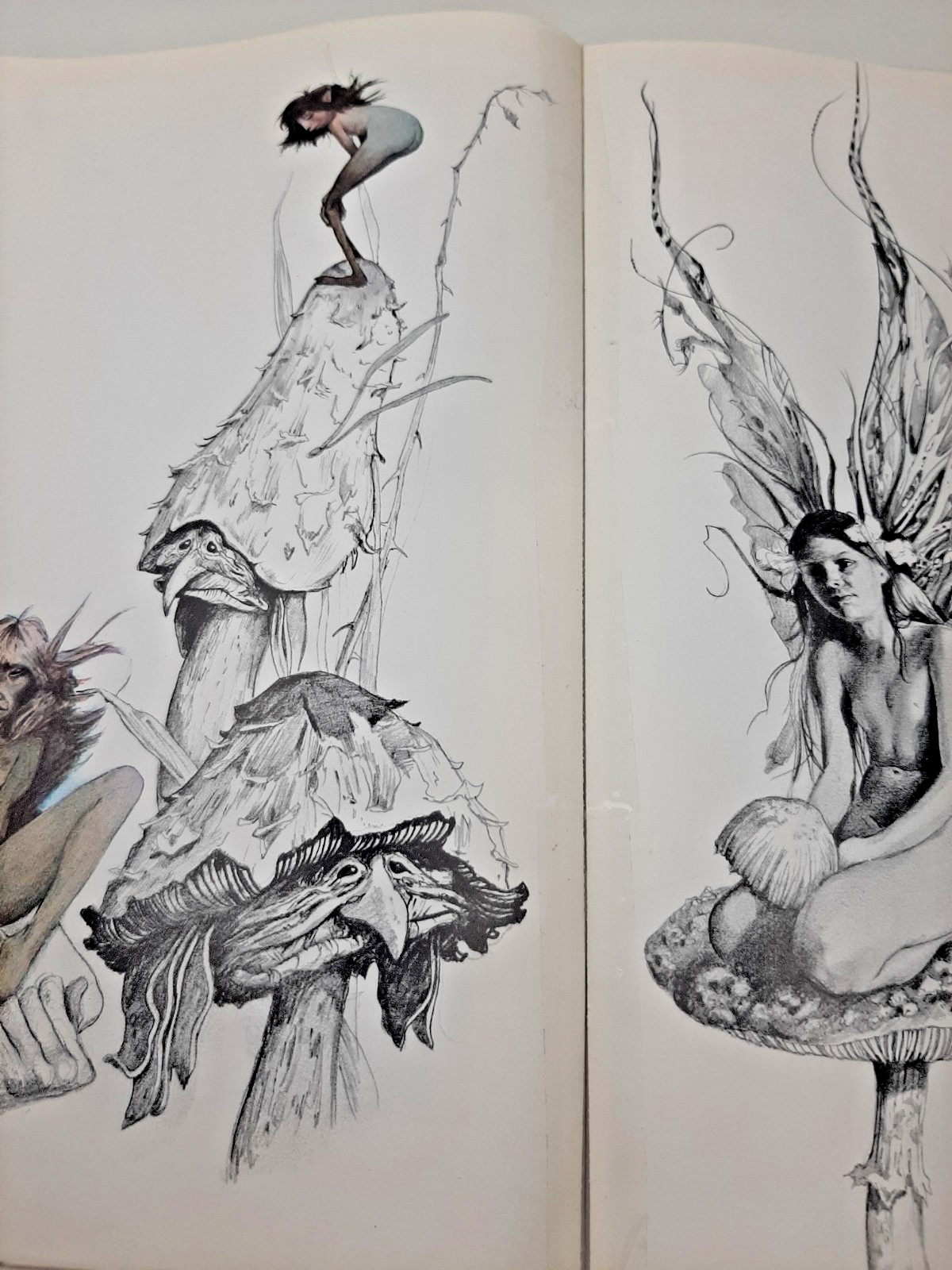Vintage Faeries Book 1978 First Edition Printing Brian Froud Mythical Fairy Art