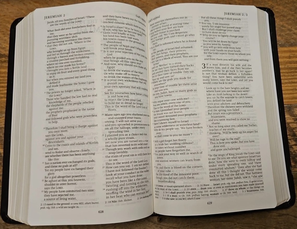 REB Revised English Bible Standard Text Edition Gray Leather RE532:T Cambridge