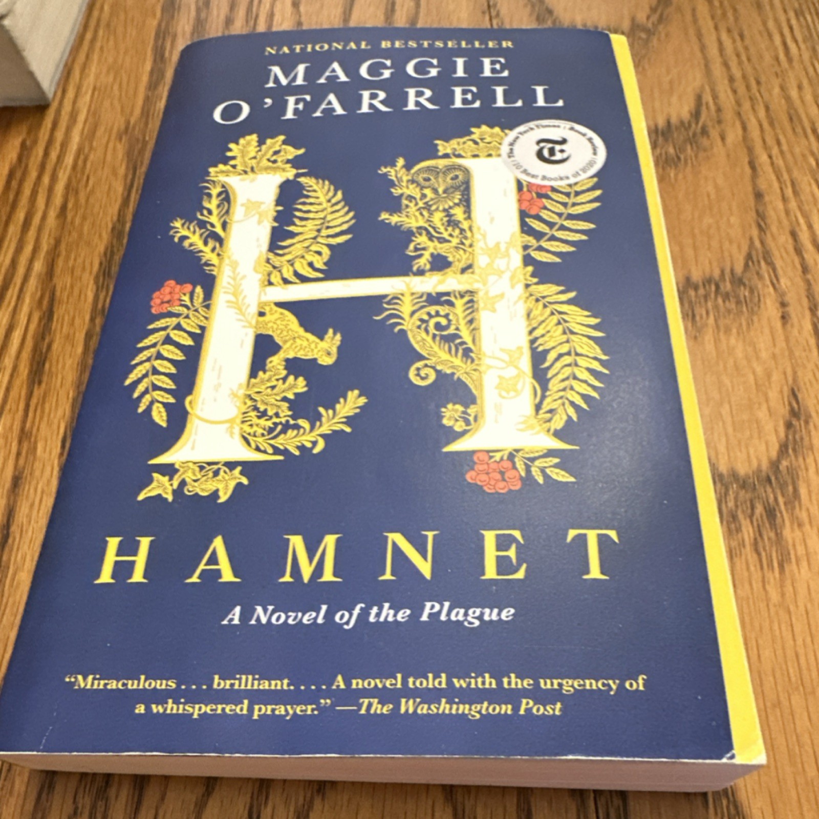 Vintage Books Hamnet Maggie O’Farrell Paperback Historical Fiction Plague