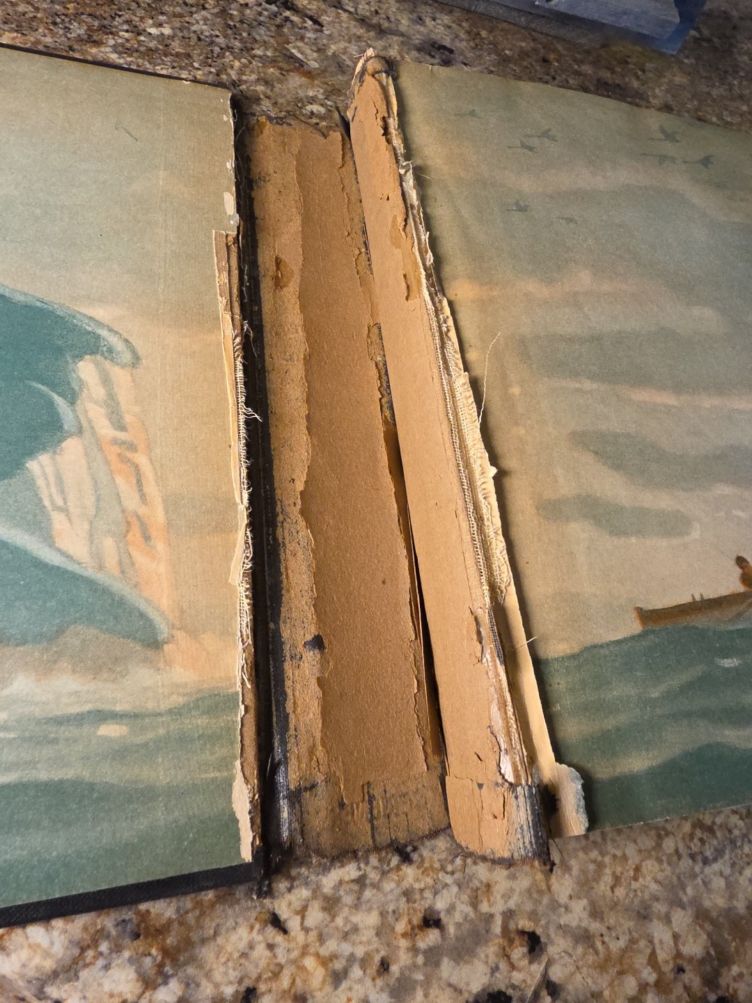 David Balfour by Robert Louis Stevenson with pictures by N. C. Wyeth 1933