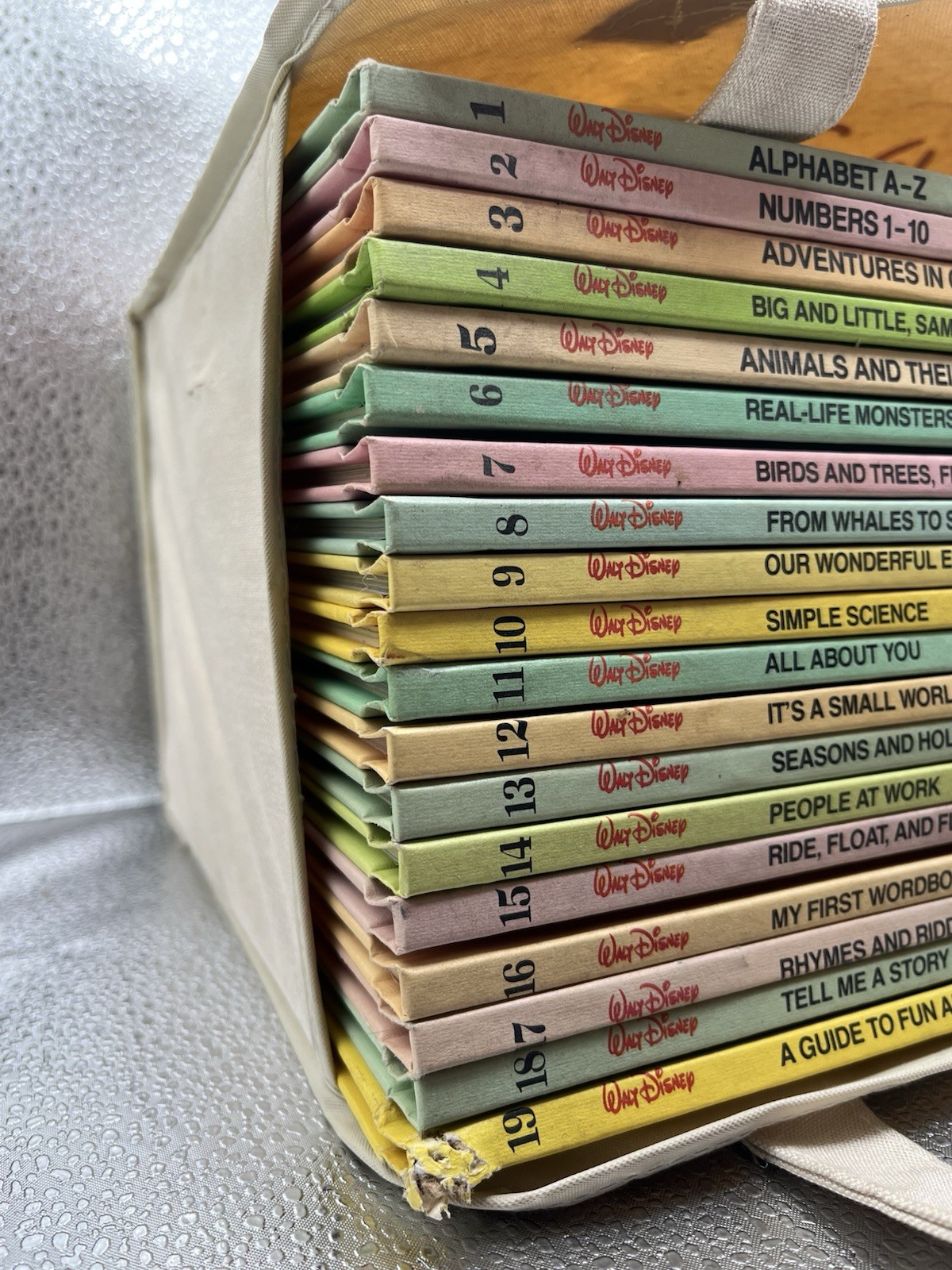 Walt Disney Fun-To-Learn Library 1-19 Complete Set Bantam Books Hardcover + Bag