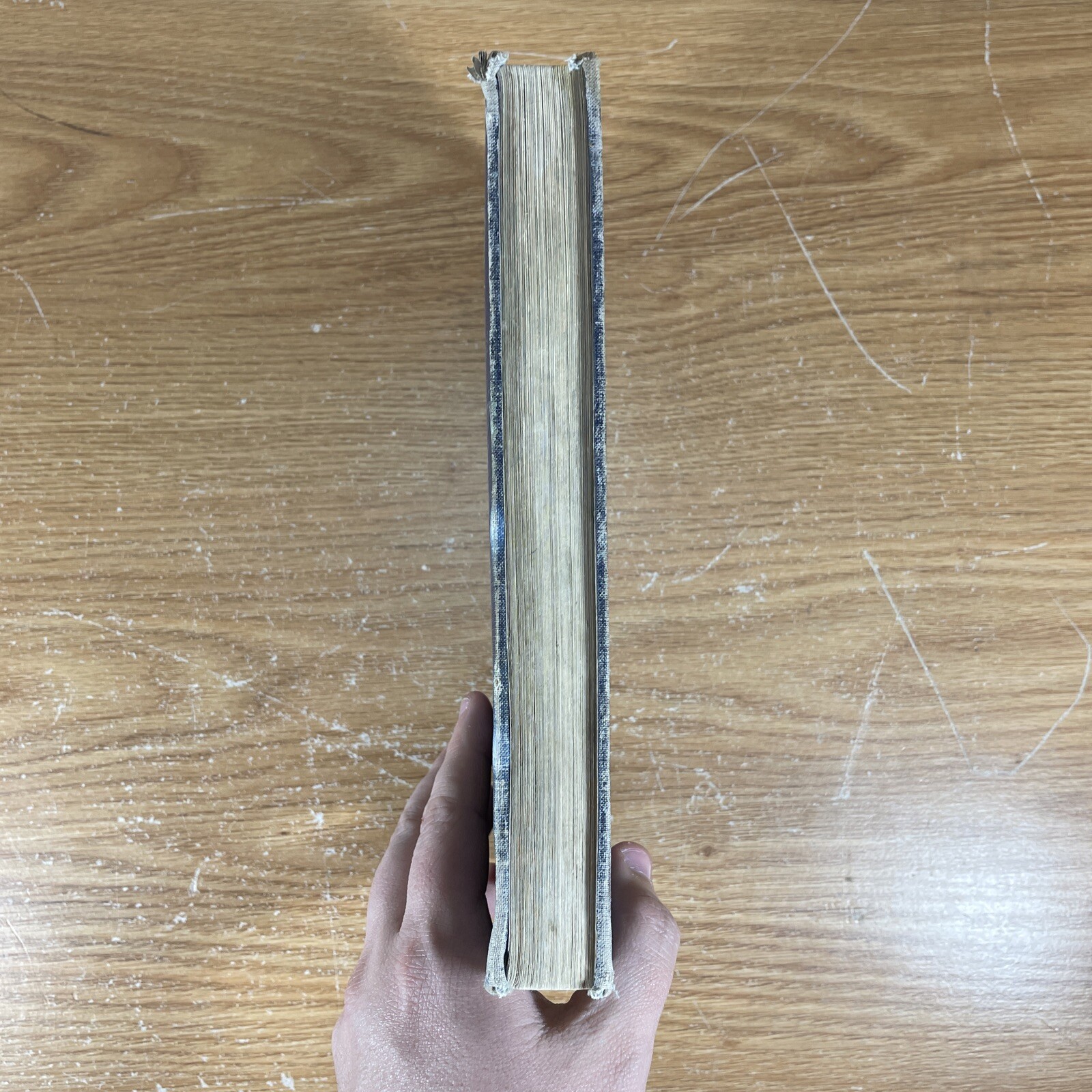 Vintage 1955 The Story of American Freedom – Edna Mcguire – Macmillan Company