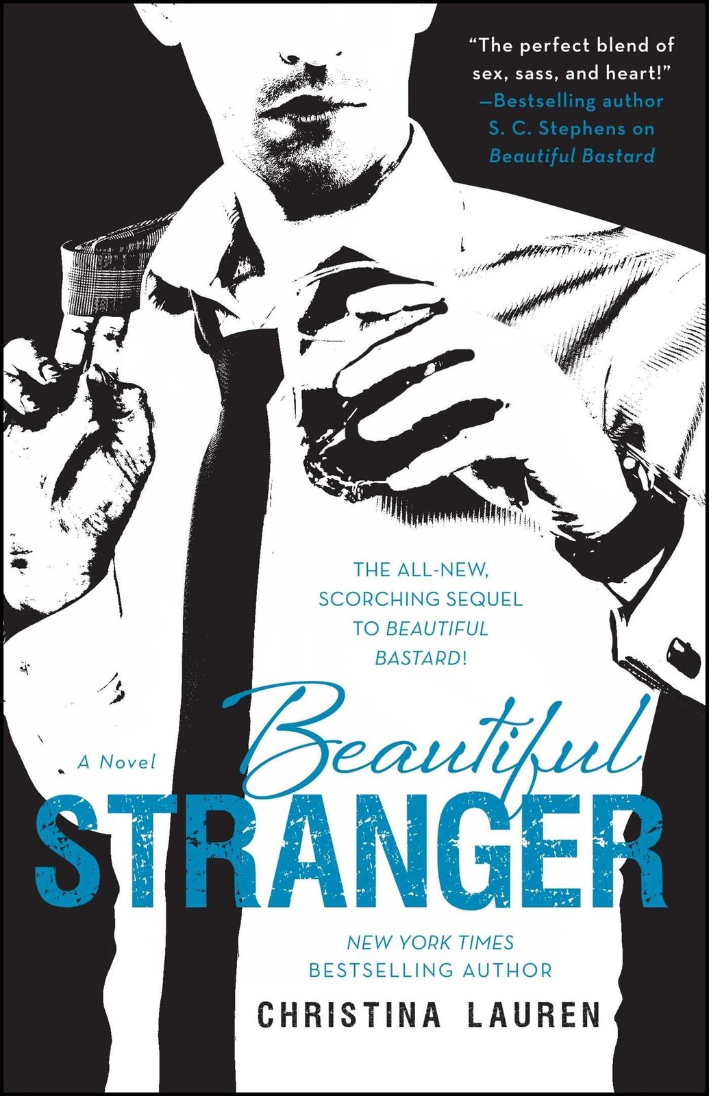 Beautiful Stranger (The Beautiful Series)