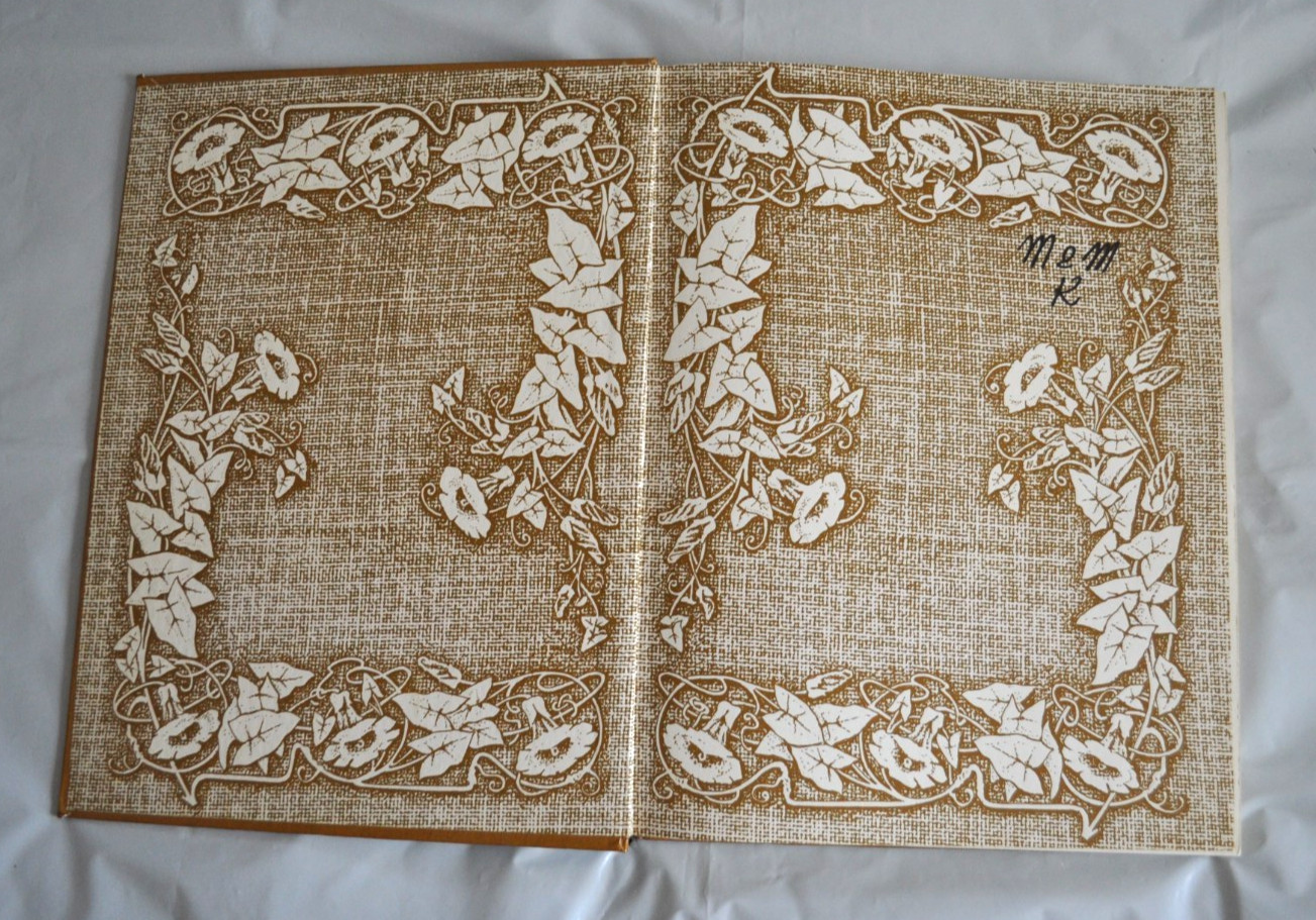 Золотая Книга Сказок Всех Стран и Народов текст изд. 1913 М. Вольф Russian Book