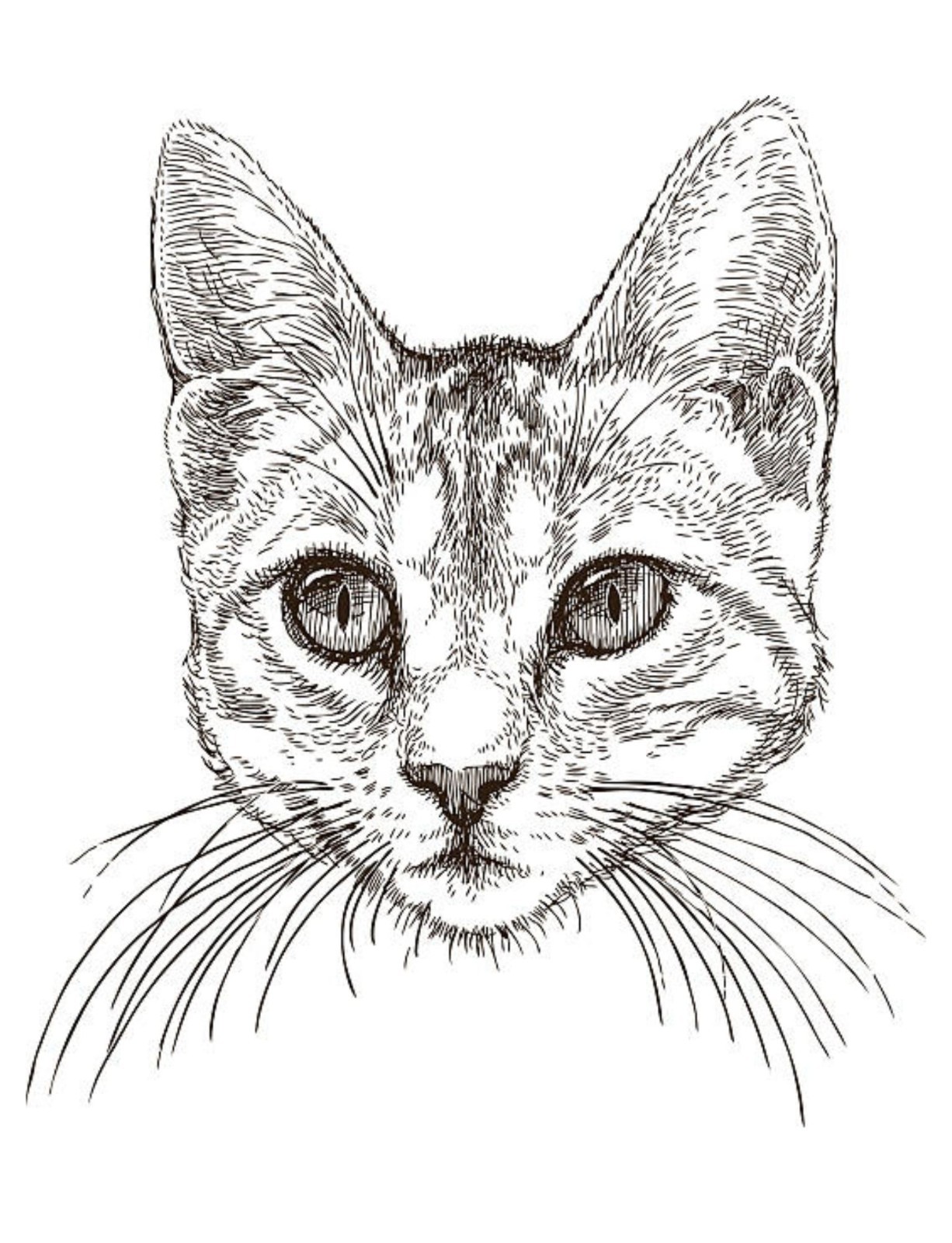 Dogs and Cats Coloring Book for All Ages 108 Pages 8.5 x 11 for All Ages