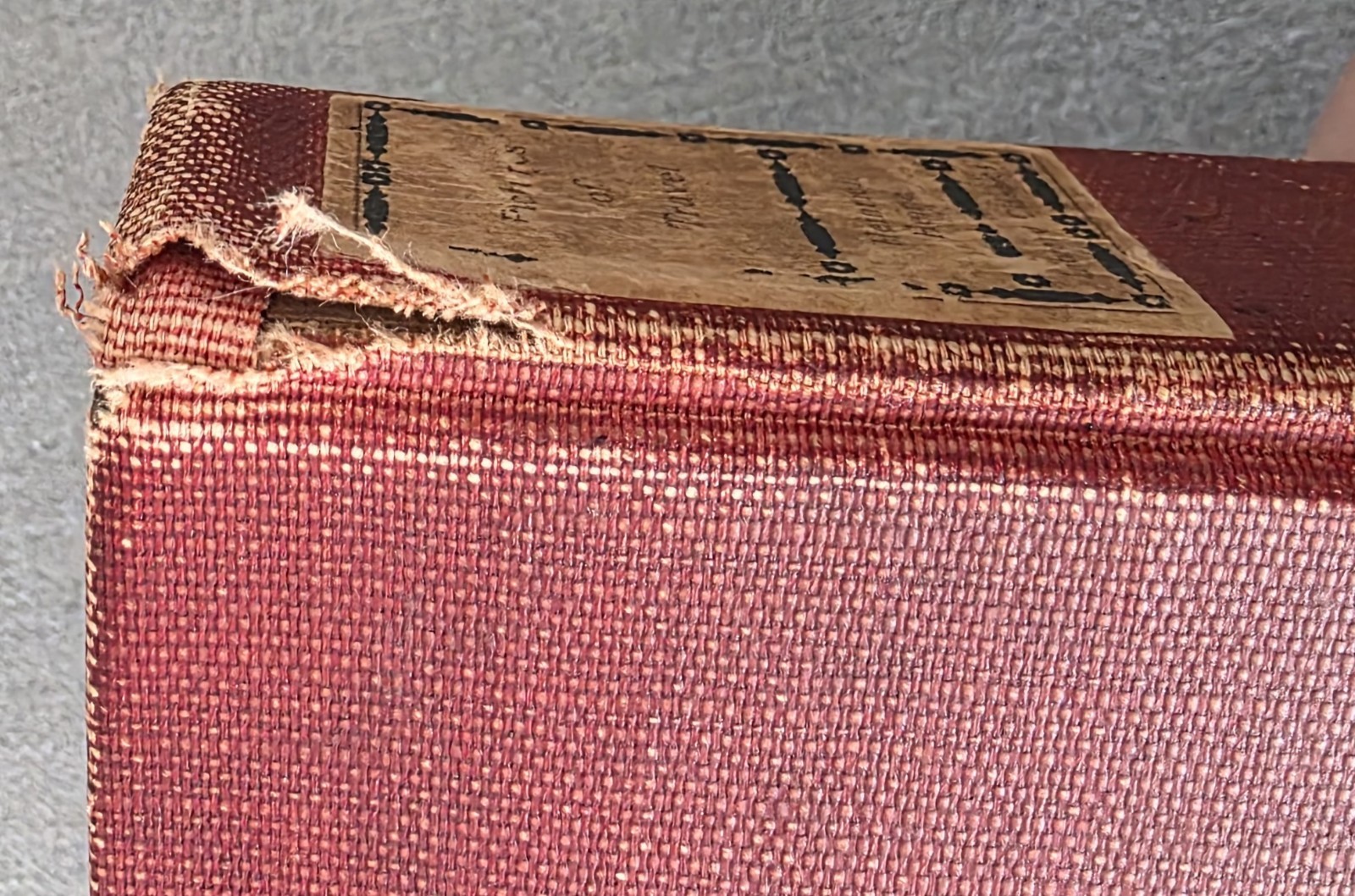 Pictures of Travel by Heinrich Heine, 1904 Antique Book, D. Appleton