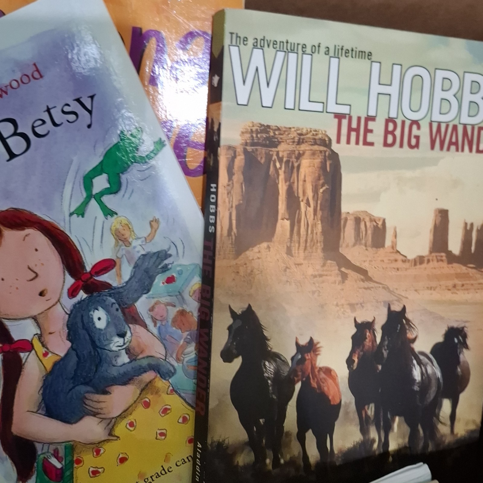 Chapter Books Bundle kids young Instant library Paperback Lot of 25