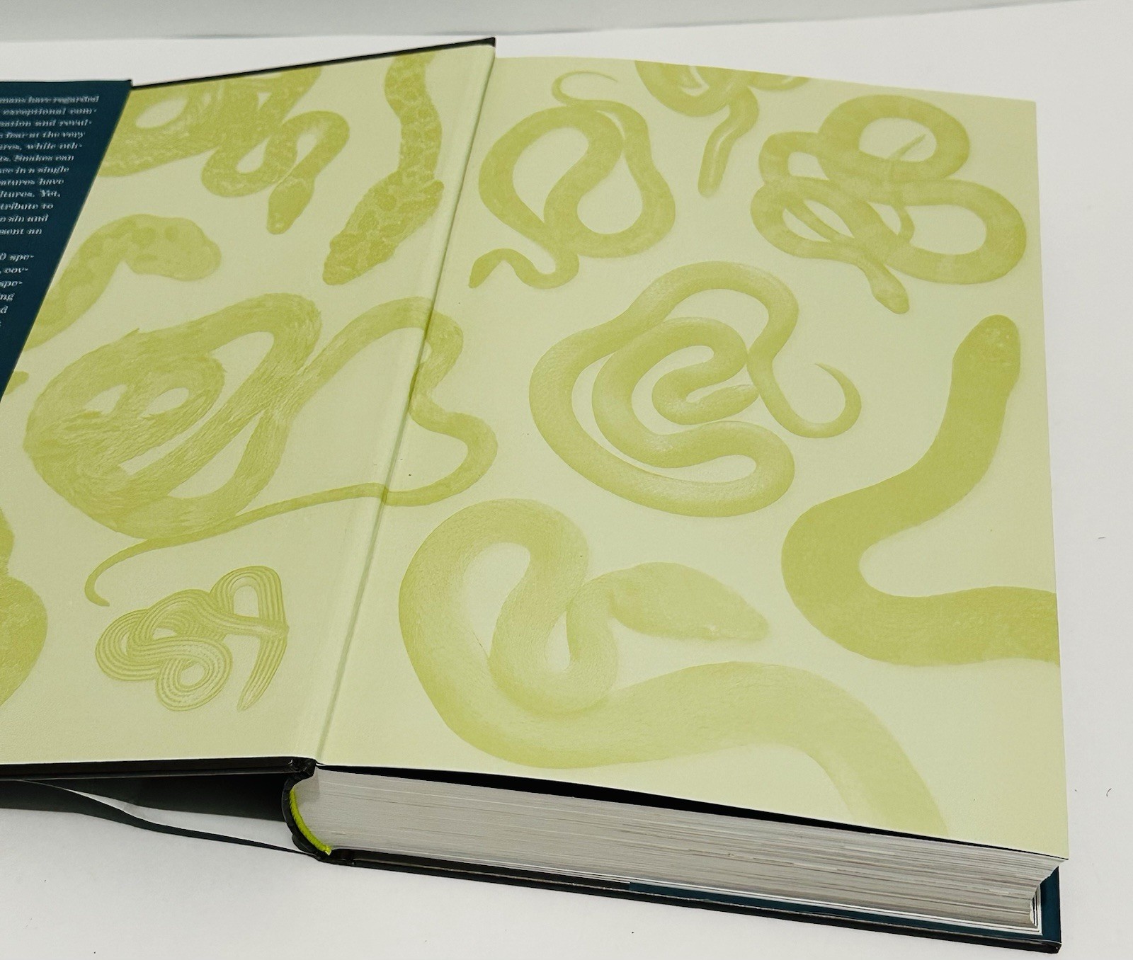 Book of Snakes: A Life-Size Guide to Six Hundred Species From Around the World