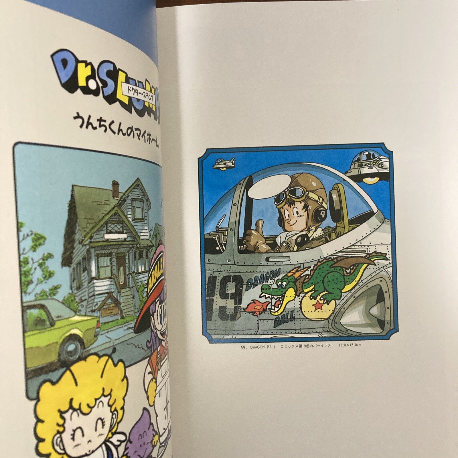 Akira Toriyama THE WORLD SPECIAL Art Book Illustration