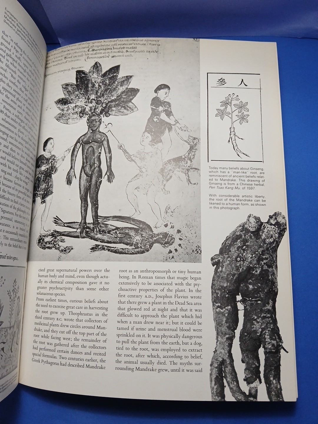 Plants of the Gods Origins of Hallucinogenic Use Schultes Evans Hoffman 1979