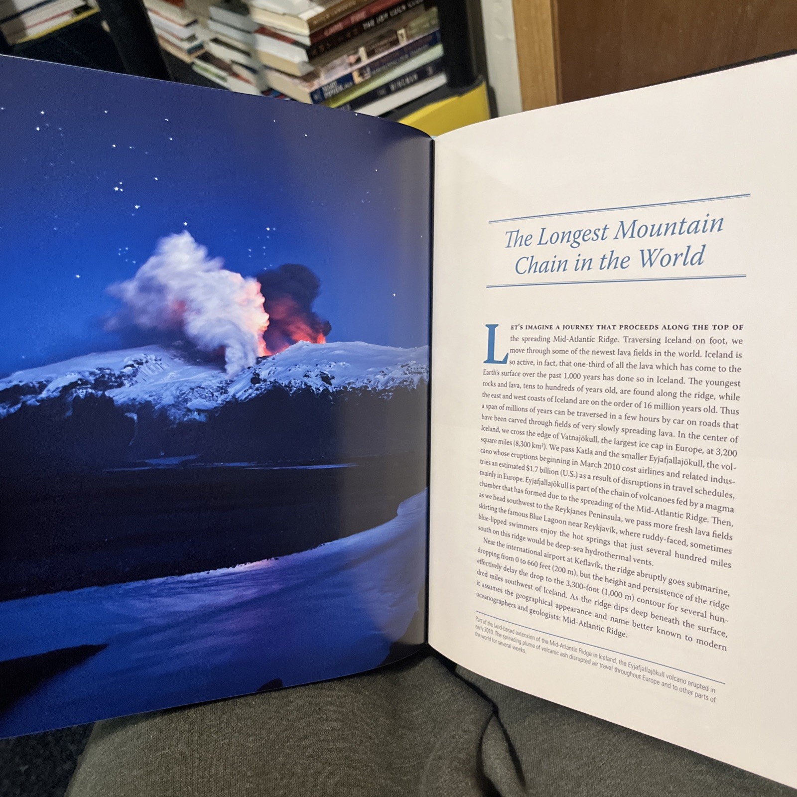 Creatures of the Deep Erich Hoyt Ocean Animals Science Book No DJ