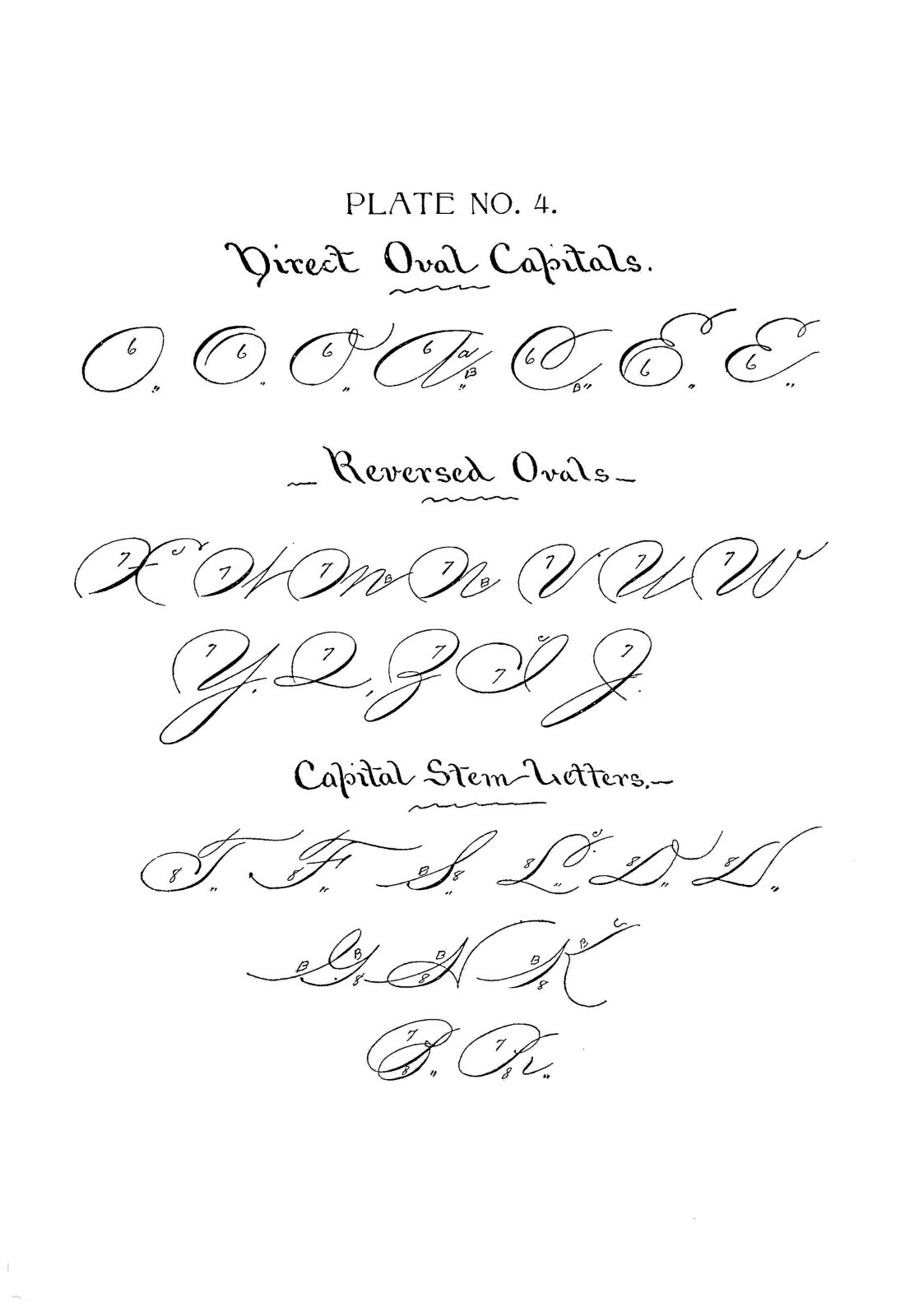 1894 Herhold’s compendium of modern penmanship 77 Pages