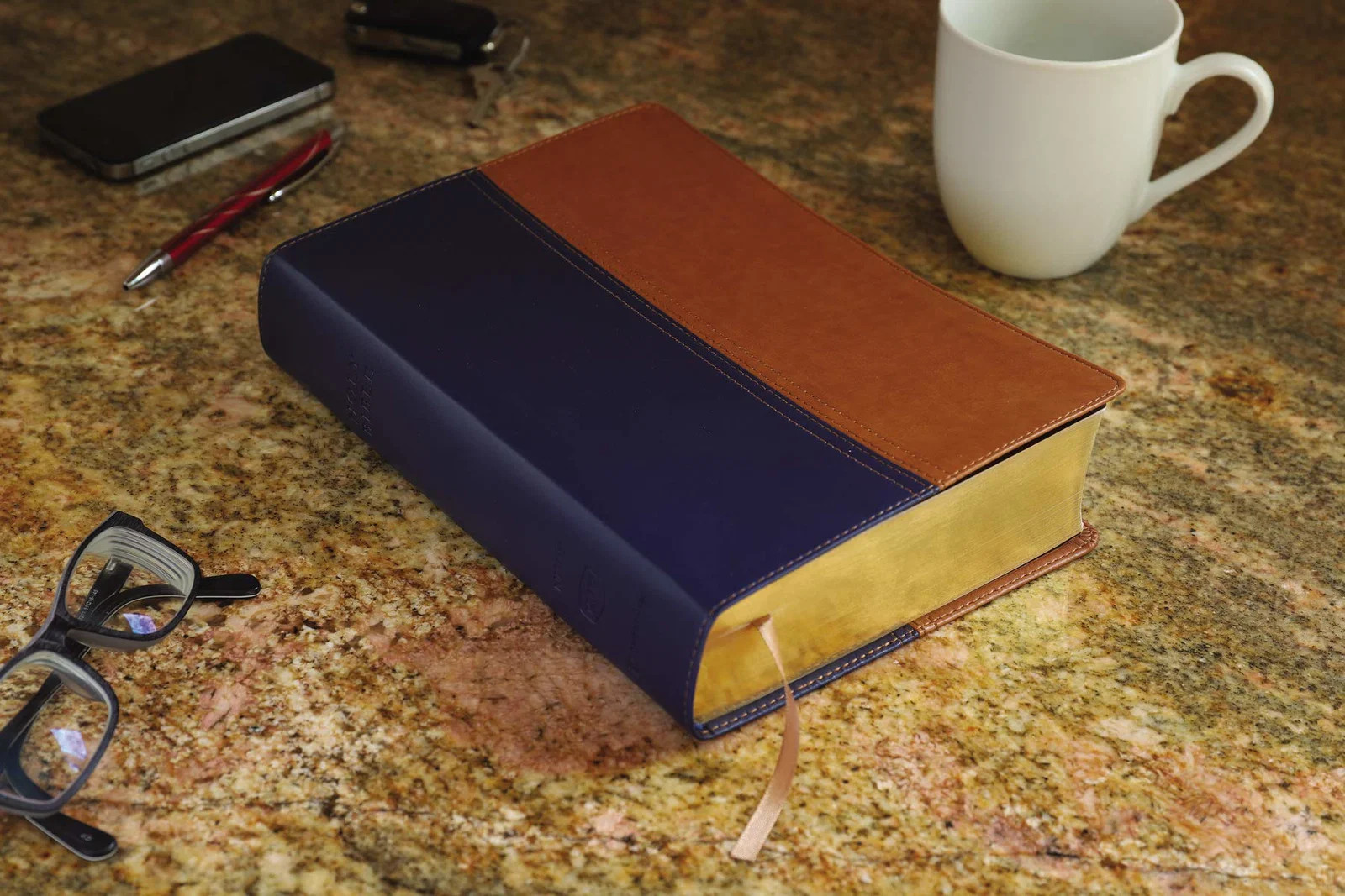 NIV & KJV Side-By-Side Bible/Large Print-Navy/Tan Duo-Tone