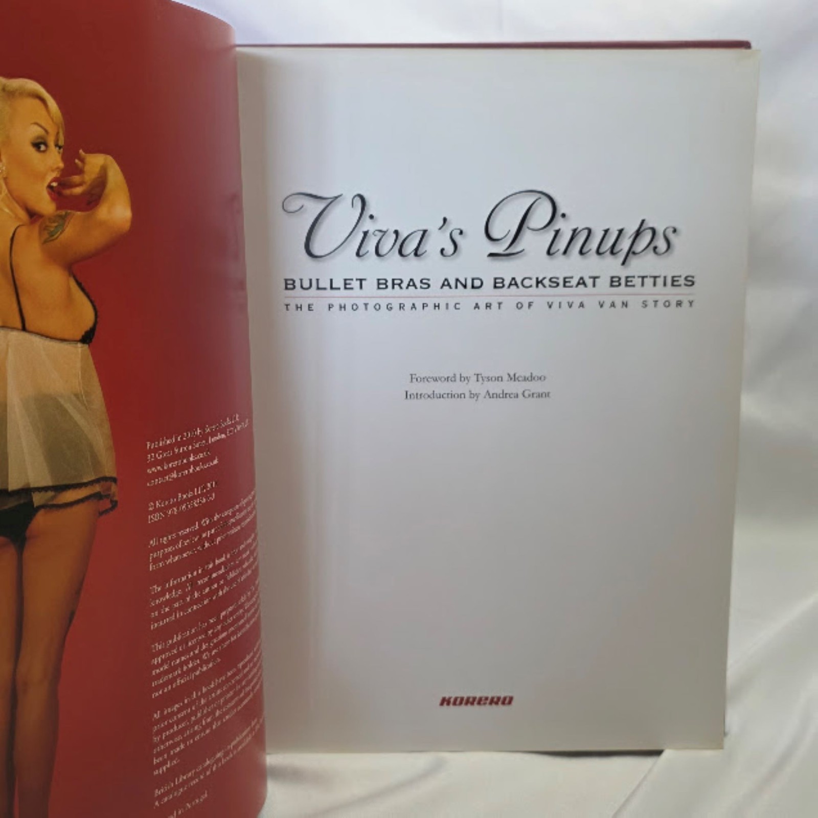 Viva’s Pinups : Bullet Bras and Backseat Betties by Tyson McAdoo and Korero…