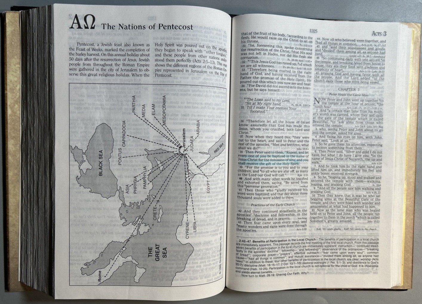 NKJV Prophecy Study Bible Hardcover John Hagee Red Letter G+