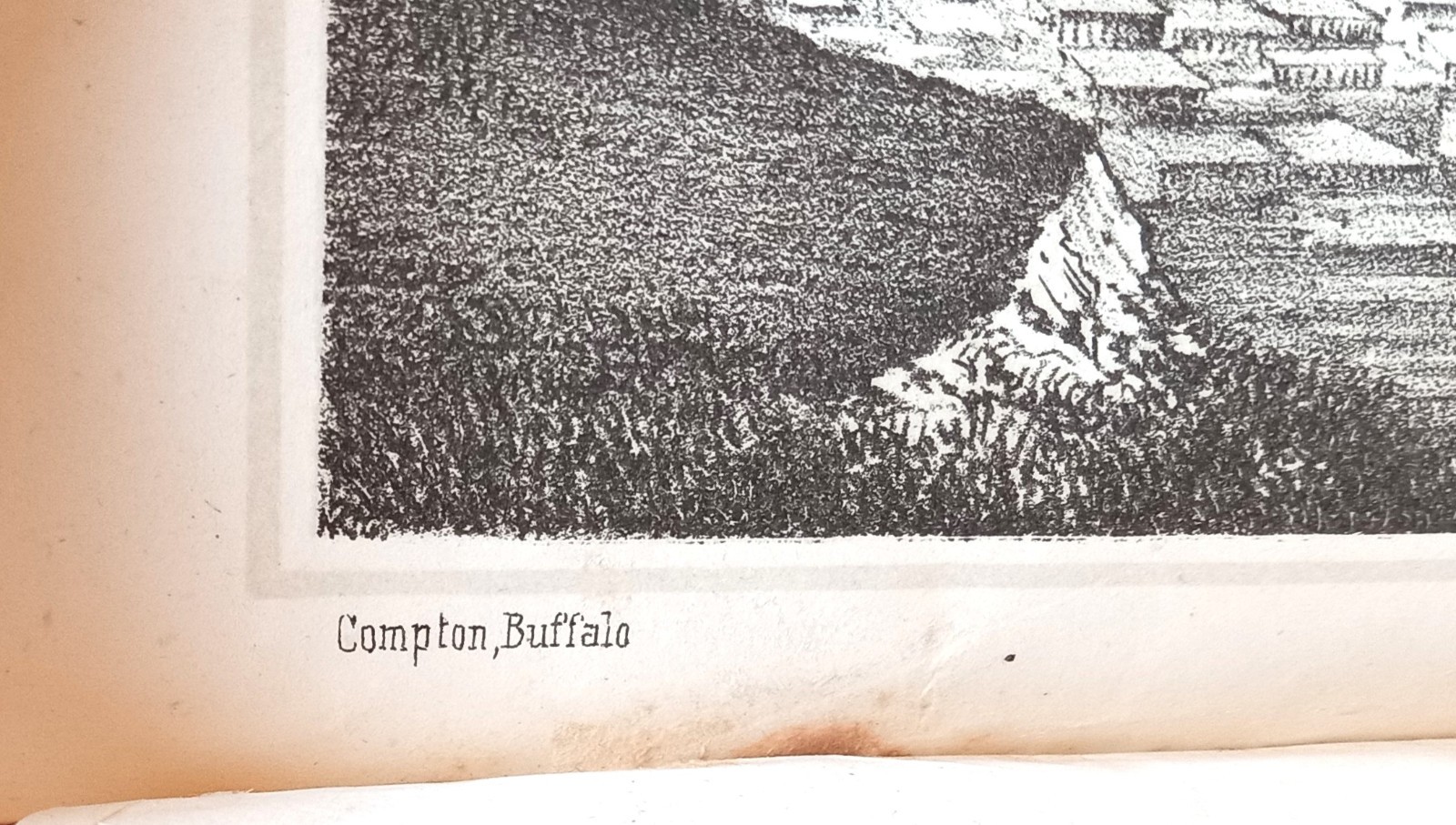 The Sacred Plains ~1856 Antique HC~ Headley Bible Geography Buffalo NY Illust