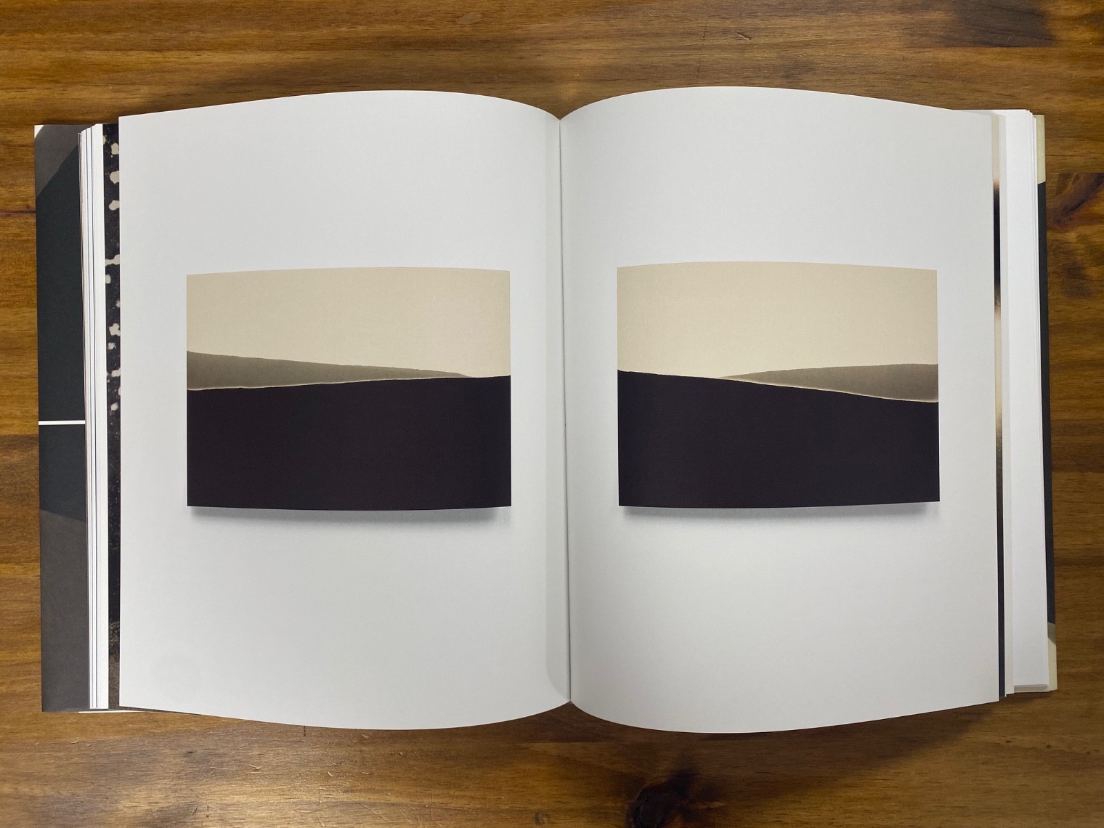 Alison Rossiter Expired Paper First 1st Edition Hardcover Radius Yossi Milo 2017