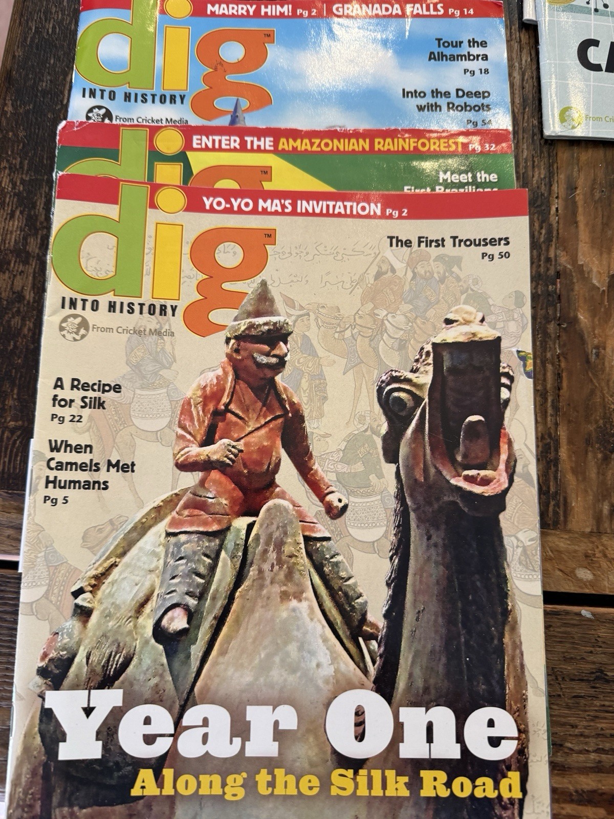 Cricket Muse Dig Cicada Spider Educational Mags 2010s Lot Of 33 Homeschool