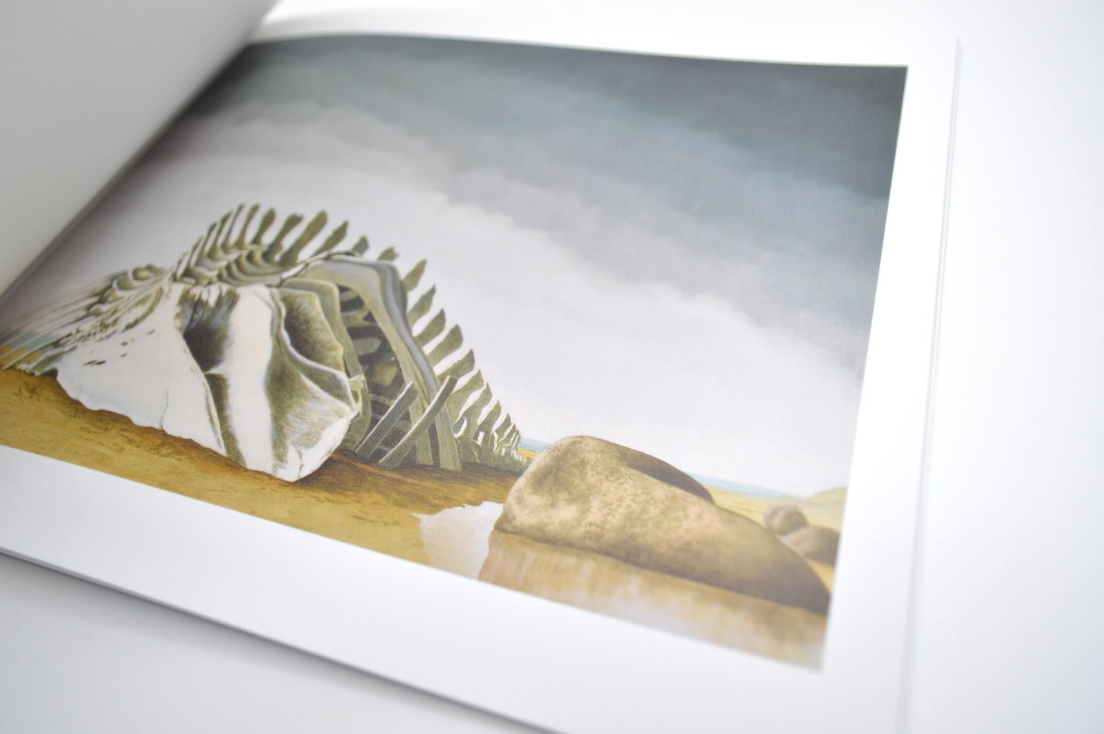 Sean Landers, Adrift, Softcover, Artist Exhibition Catalog, 2023, New