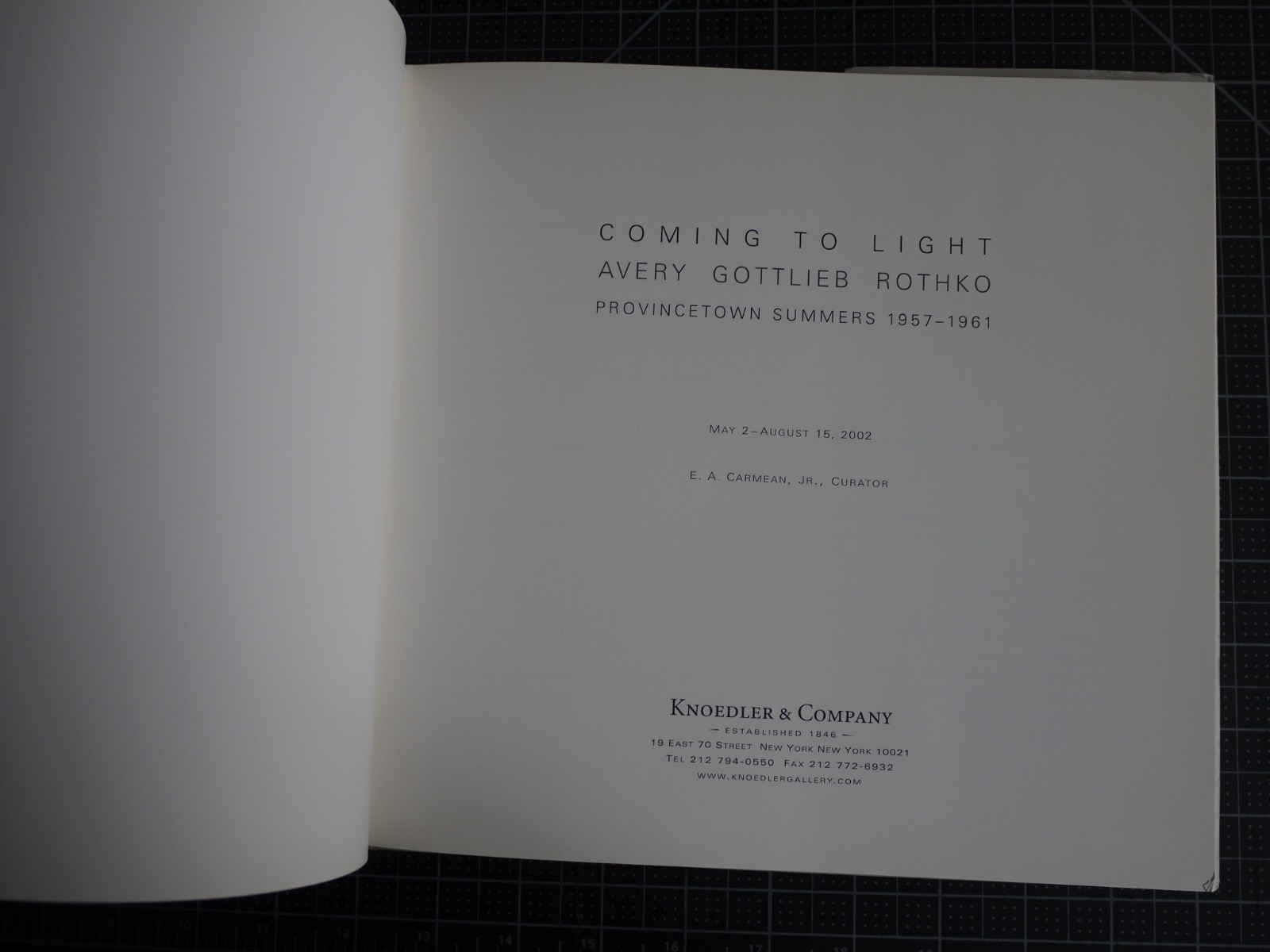 Coming to Light: Avery Gottlieb Rothko: Provincetown Summers 1957-1961 by Avery
