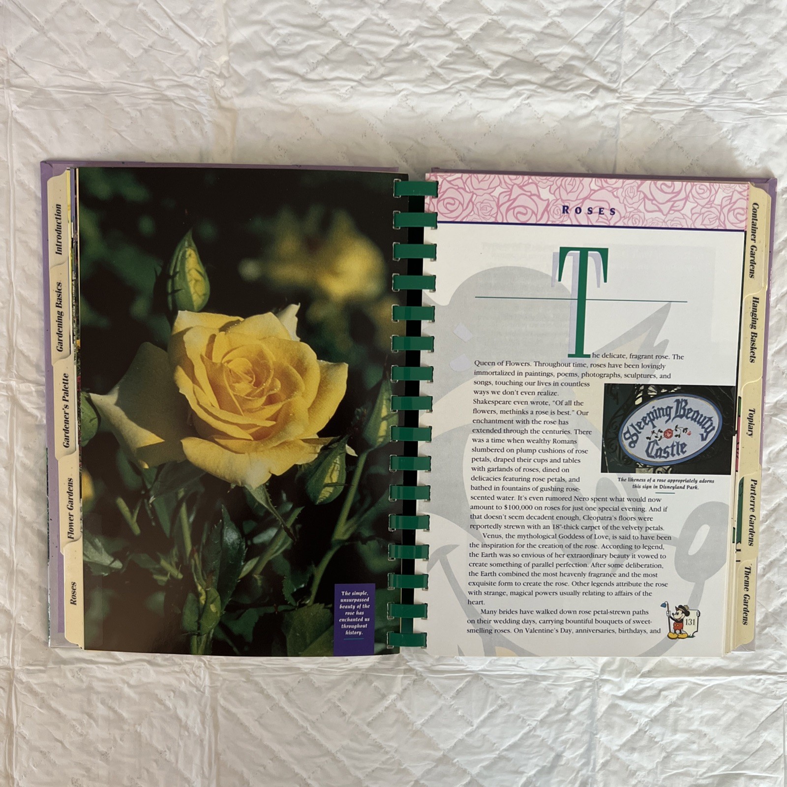 Disney’s Gardening with MICKEY Mouse 1st Edition Hardcover With Spiral Binding