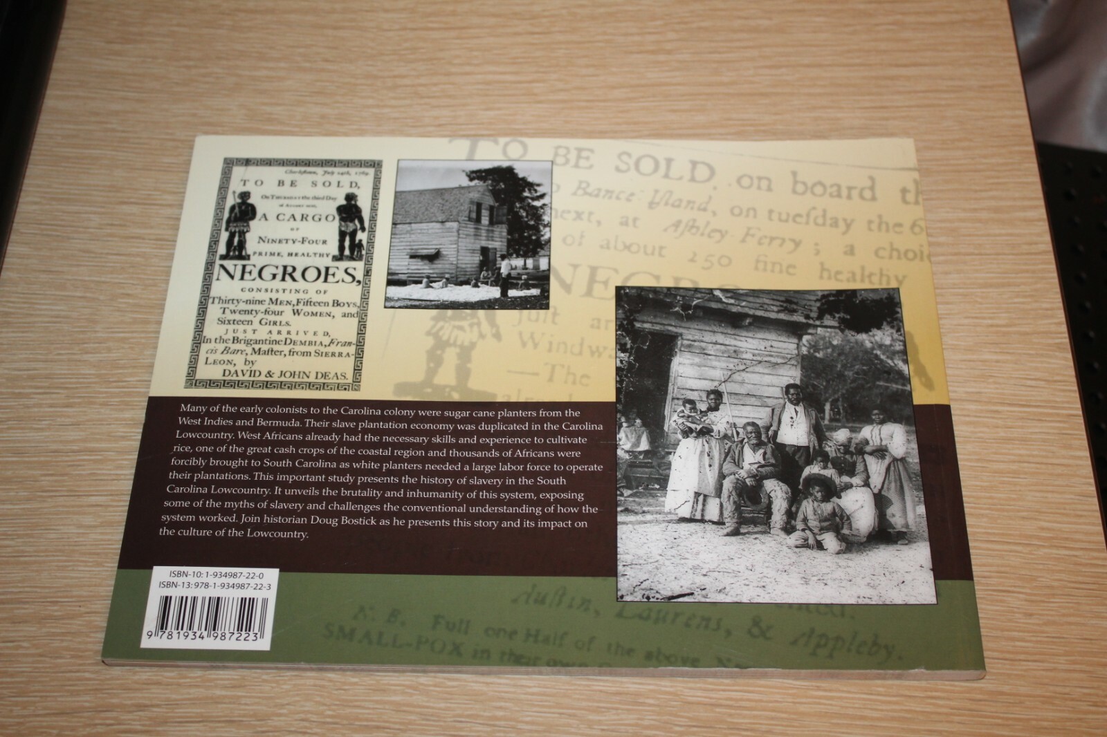 The History of Slavery in the South Carolina Lowcountry: From Inception to Aboli