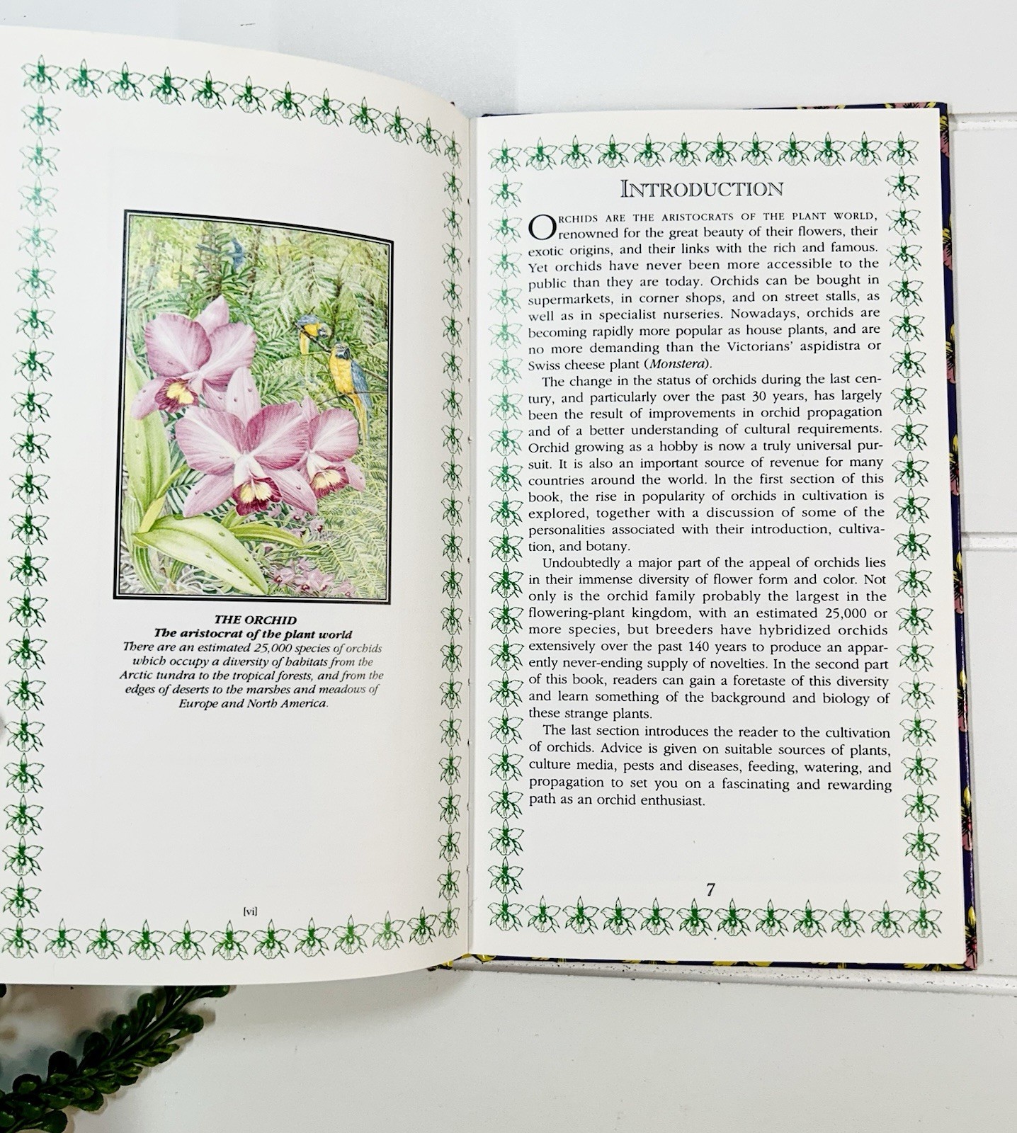Orchids : A Romantic History Guide to Cultivation Philip Cribb Tropical Flowers
